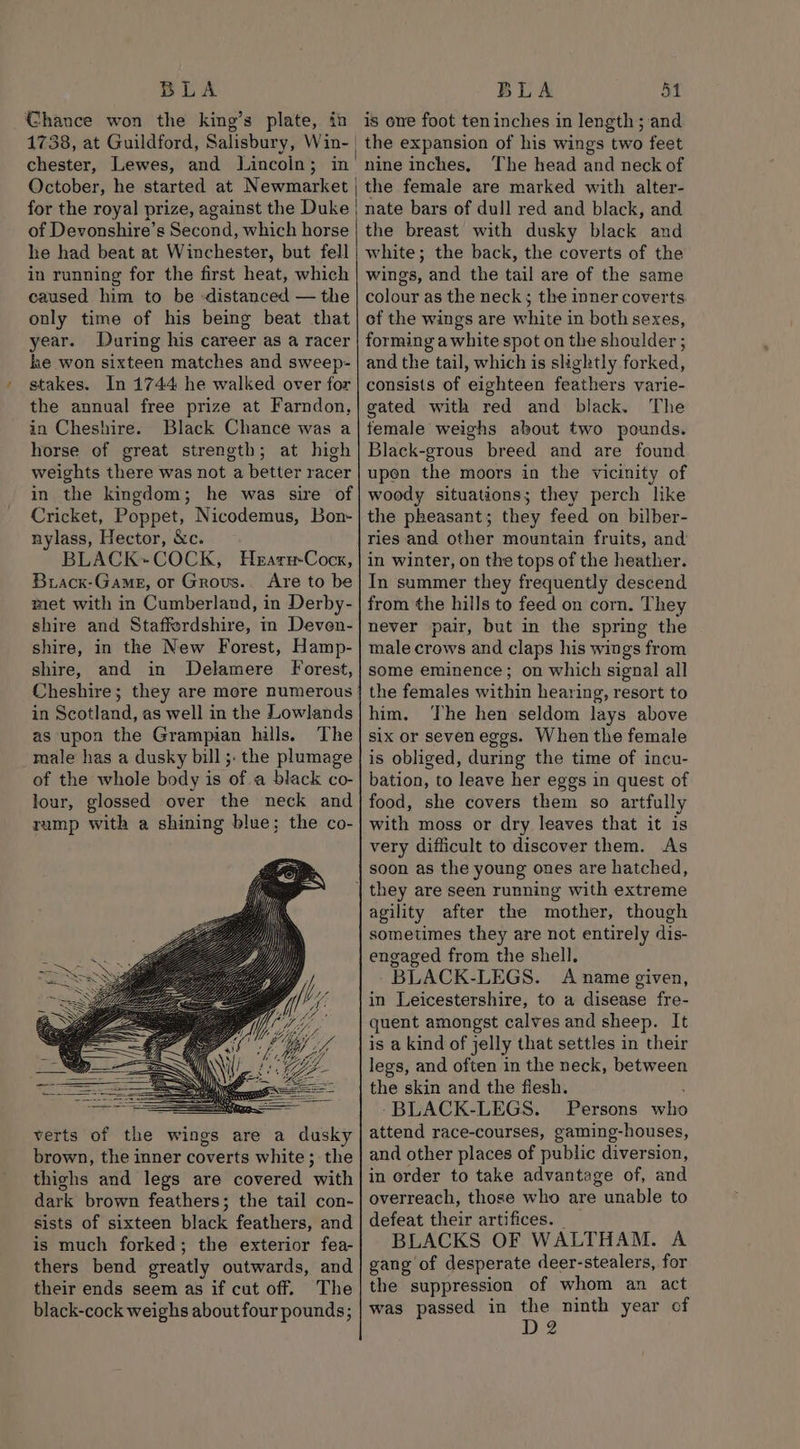 Chance won the king’s plate, in chester, Lewes, and Lincoln; in for the royal prize, against the Duke of Devonshire’s Second, which horse he had beat at Winchester, but fell in running for the first heat, which caused him to be ‘distanced — the only time of his being beat that year. During his career as a racer he won sixteen matches and sweep- stakes. In 1744 he walked over for the annual free prize at Farndon, in Cheshire. Black Chance was a horse of great strength; at high weights there was not a better racer in the kingdom; he was sire of Cricket, Poppet, Nicodemus, Bon- nylass, Hector, &amp;c. BLACK+COCK, WHearsu-Cock, Bracx-Game, or Grovus.. Are to be met with in Cumberland, in Derby- shire and Staffordshire, in Deven- shire, in the New Forest, Hamp- shire, and in Delamere Forest, Cheshire; they are more numerous in Scotland, as well in the Lowlands as upon the Grampian hills. The male has a dusky bill ;. the plumage of the whole body is of a black co- lour, glossed over the neck and rump with a shining blue; the co- verts of the wings are a dusky brown, the inner coverts white; the thighs and legs are covered with dark brown feathers; the tail con- sists of sixteen black feathers, and is much forked; the exterior fea- thers bend greatly outwards, and their ends seem as if cut off. The black-cock weighs about four pounds; is one foot ten inches in length; and the expansion of his wings two feet nine inches, The head and neck of the female are marked with alter- nate bars of dull red and black, and the breast with dusky black and white; the back, the coverts of the wings, and the tail are of the same colour as the neck; the inner coverts of the wings are white in both sexes, forming a white spot on the shoulder ; and the tail, which is slightly forked, consists of eighteen feathers varie- gated with red and black. The female weighs about two pounds. Black-grous breed and are found upon the moors in the vicinity of woody situations; they perch like the pheasant; they feed on bilber- ries and other mountain fruits, and in winter, on the tops of the heather. In summer they frequently descend from the hills to feed on corn. They never pair, but in the spring the male crows and claps his wings from some eminence; on which signal all the females within hearing, resort to him. The hen seldom lays above six or seven eggs. When the female is obliged, during the time of incu- bation, to leave her eggs in quest of food, she covers them so artfully with moss or dry leaves that it is very difficult to discover them. As soon as the young ones are hatched, agility after the mother, though sometimes they are not entirely dis- engaged from the shell. BLACK-LEGS. A name given, in Leicestershire, to a disease fre- quent amongst calves and sheep. It is a kind of jelly that settles in their legs, and often in the neck, between the skin and the flesh. BLACK-LEGS. Persons who attend race-courses, gaming-houses, and other places of public diversion, in order to take advantage of, and overreach, those who are unable to defeat their artifices. BLACKS OF WALTHAM. A gang of desperate deer-stealers, for the suppression of whom an act was passed in the ninth year of D2
