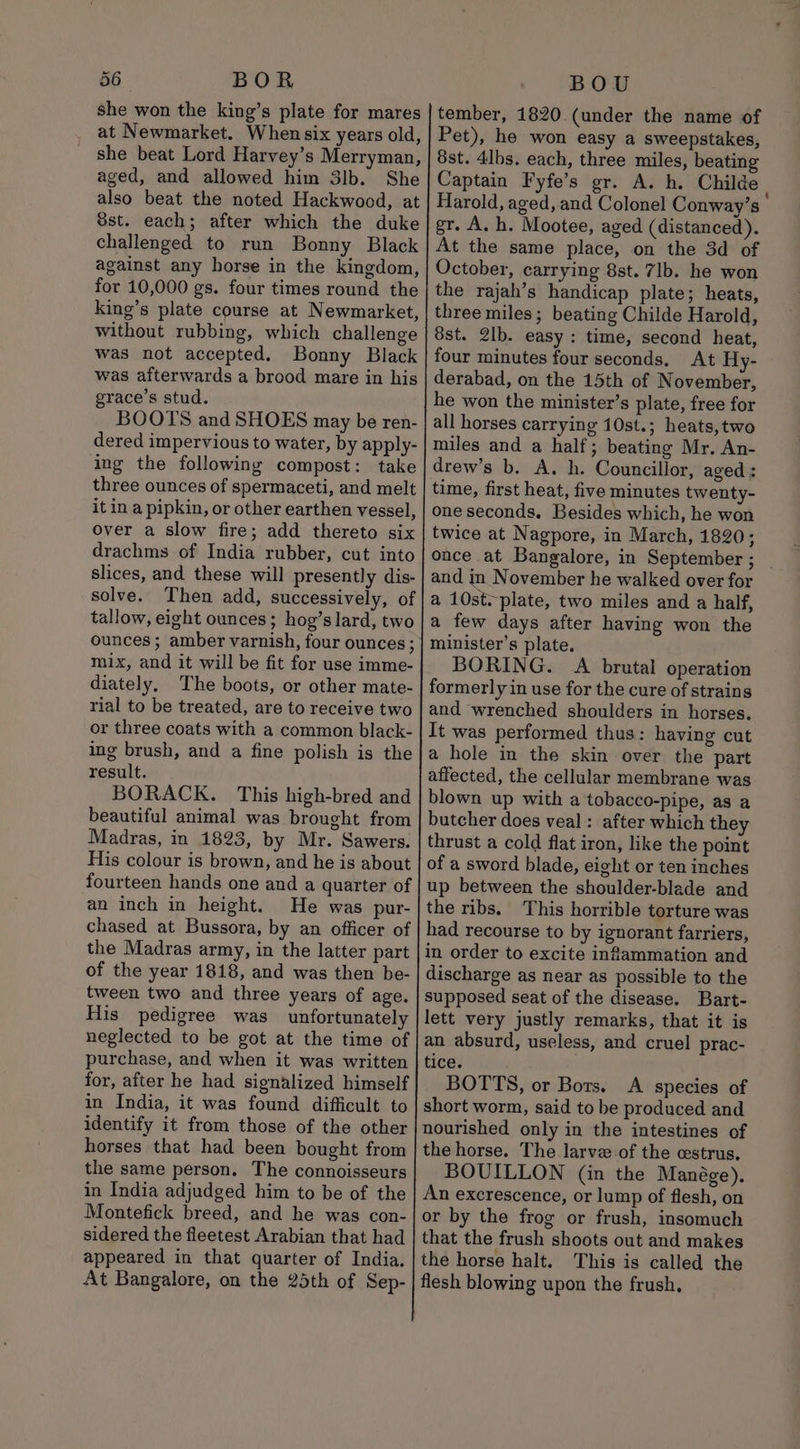 she won the king’s plate for mares at Newmarket. Whensix years old, she beat Lord Harvey’s Merryman, aged, and allowed him 3lb. She also beat the noted Hackwood, at 8st. each; after which the duke challenged to run Bonny Black against any horse in the kingdom, for 10,000 gs. four times round the king’s plate course at Newmarket, Without rubbing, which challenge was not accepted. Bonny Black was afterwards a brood mare in his grace’s stud. BOOTS and SHOES may be ren- dered impervious to water, by apply- ing the following compost: take three ounces of spermaceti, and melt it in a pipkin, or other earthen vessel, over a slow fire; add thereto six drachms of India rubber, cut into slices, and these will presently dis- solve. Then add, successively, of tallow, eight ounces; hog’slard, two ounces ; amber varnish, four ounces; mix, and it will be fit for use imme- diately, The boots, or other mate- rial to be treated, are to receive two or three coats with a common black- ing brush, and a fine polish is the result. BORACK. This high-bred and beautiful animal was brought from Madras, in 1823, by Mr. Sawers. His colour is brown, and he is about fourteen hands one and a quarter of an inch in height. He was pur- chased at Bussora, by an officer of the Madras army, in the latter part of the year 1818, and was then be- tween two and three years of age. His pedigree was unfortunately neglected to be got at the time of purchase, and when it was written for, after he had signalized himself in India, it was found difficult to identify it from those of the other horses that had been bought from the same person. The connoisseurs in India adjudged him to be of the Montefick breed, and he was con- sidered the fleetest Arabian that had appeared in that quarter of India. At Bangalore, on the 25th of Sep- tember, 1820. (under the name of Pet), he won easy a sweepstakes, 8st. 4lbs. each, three miles, beating Captain Fyfe’s gr. A. h. Childe Harold, aged, and Colonel Conway’s gr. A. h. Mootee, aged (distanced). At the same place, on the 3d of October, carrying 8st. 7lb. he won the rajah’s handicap plate; heats, three miles; beating Childe Harold, 8st. 2lb. easy : time, second heat, four minutes four seconds. At Hy- derabad, on the 15th of November, he won the minister’s plate, free for all horses carrying 10st.; heats, two miles and a half; beating Mr. An- drew’s b. A. h. Councillor, aged : time, first heat, five minutes twenty- one seconds. Besides which, he won twice at Nagpore, in March, 1820; once at Bangalore, in September ; _ and in November he walked over for a 10st-plate, two miles and a half, a few days after having won the minister's plate. BORING. A brutal operation formerly in use for the cure of strains and wrenched shoulders in horses. It was performed thus: having cut a hole in the skin over the part affected, the cellular membrane was blown up with a tobacco-pipe, as a butcher does veal: after which they thrust a cold flat iron, like the point of a sword blade, eight or ten inches up between the shoulder-blade and the ribs. This horrible torture was had recourse to by ignorant farriers, in order to excite inflammation and discharge as near as possible to the supposed seat of the disease. Bart- lett very justly remarks, that it is an absurd, useless, and cruel prac- tice. | BOTTS, or Bots. A species of short worm, said to be produced and nourished only in the intestines of the horse. The larve of the estrus. BOUILLON (in the Manége). An excrescence, or lump of flesh, on or by the frog or frush, insomuch that the frush shoots out and makes the horse halt. This is called the flesh blowing upon the frush,