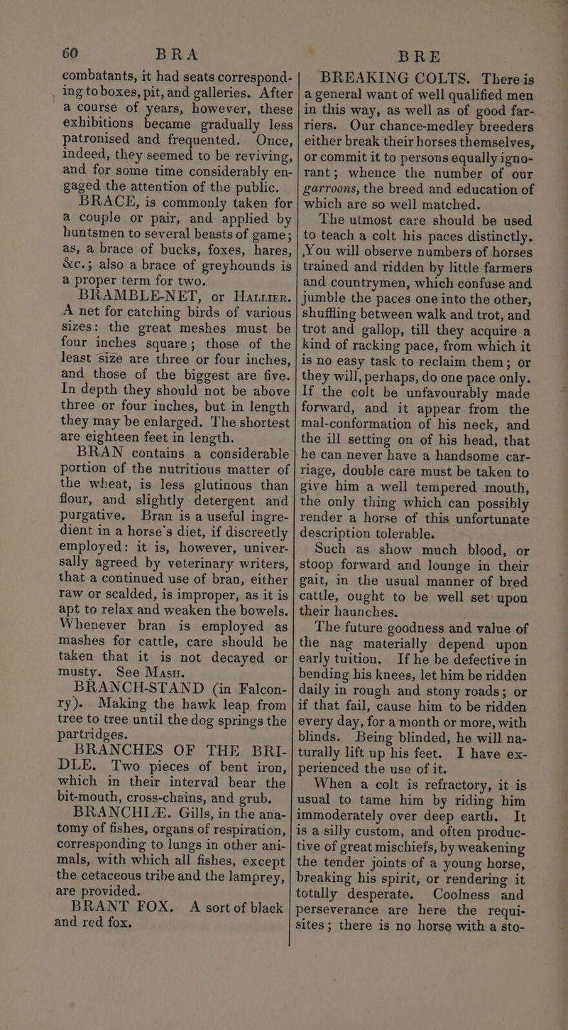 combatants, it had seats correspond- ing to boxes, pit, and galleries. After a course of years, however, these exhibitions became gradually less patronised and frequented. Once, indeed, they seemed to be reviving, and for some time considerably en- gaged the attention of the public. a couple or pair, and applied by huntsmen to several beasts of game; as, a brace of bucks, foxes, hares, &c.; also a brace of greyhounds is a proper term for two, BRAMBLE-NET, or Hatter. A net for catching birds of various sizes: the great meshes must be four inches square; those of the least size are three or four inches, and those of the biggest are five. In depth they should not be above three or four inches, but in length they may be enlarged. The shortest are eighteen feet in length. BRAN contains a considerable the wheat, is less glutinous than flour, and slightly detergent and purgative. Bran is a useful ingre- dient in a horse's diet, if discreetly employed: it is, however, univer- sally agreed by veterinary writers, that a continued use of bran, either raw or scalded, is improper, as it is apt to relax and weaken the bowels. Whenever bran is employed as mashes for cattle, care should be taken that it is not decayed or musty. See Masn. BRANCH-STAND (in Falcon- ry). Making the hawk leap from tree to tree until the dog springs the partridges. BRANCHES OF THE BRI- DLE. Two pieces of bent iron, which in their interval bear the bit-mouth, cross-chains, and grub, BRANCHLZ. Gills, in the ana- tomy of fishes, organs of respiration, corresponding to lungs in other ani- mals, with which all fishes, except the cetaceous tribe and the lamprey, are provided. BRANT FOX. A sort of black and red fox. BREAKING COLTS. There is a general want of well qualified men in this way, as well as of good far- riers. Our chance-medley breeders either break their horses themselves, or commit it to persons equally igno- rant; whence the number of our garroons, the breed and education of which are so well matched. The utmost care should be used to teach a colt his paces distinctly. .You will observe numbers of horses trained and ridden by little farmers and countrymen, which confuse and shuffling between walk and trot, and trot and gallop, till they acquire a kind of racking pace, from which it is no easy task to reclaim them; or they will, perhaps, do one pace only. If the colt be unfavourably made forward, and it appear from the mal-conformation of his neck, and the ill setting on of his head, that he can never have a handsome car- give him a well tempered mouth, the only thing which can possibly render a horse of this unfortunate description tolerable. Such as show much blood, or stoop forward and lounge in their gait, in the usual manner of bred cattle, ought to be well set’ upon their haunches, The future goodness and value of the nag materially depend upon early tuition. If he be defective in bending his knees, let him be ridden daily in rough and stony roads; or if that fail, cause him to be ridden every day, for a month or more, with blinds. Being blinded, he will na- turally lift up his feet. I have ex- perienced the use of it. When a colt is refractory, it is usual to tame him by riding him tive of great mischiefs, by weakening the tender joints of a young horse, Coolness and sites; there is no horse with a sto-