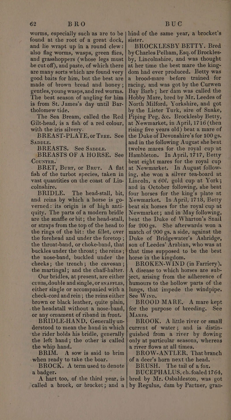 worms, especially such as are to be found at the root of a great dock, and lie wrapt up in a round clew: also flag worms, wasps, green flies, and grasshoppers (whose legs must be cut off), and paste, of which there are many sorts which are found very good baits for him, but the best are made of brown bread and honey; gentles, young wasps, and red worms. The best season of angling for him is from St. James’s day until Bar- tholomew tide. Gilt-head, is a fish of a red colour, with the iris silvery. BREAST-PLATE, or Trer. See SADDLE. 5 BREASTS. See Sapptez. BREASTS OF A HORSE, See -CounTER. BRET, Burt, or Brut. A flat fish of the turbot species, taken in vast quantities on the coast of Lin- colnshire. BRIDLE. The head-stall, bit, and reins by which a horse is go- verned: its origin is of high anti- quity. The parts of a modern bridle are the snaffle or bit; the head-stall, or straps from the top of the head to the rings of the bit: the fillet, over the forehead and under the foretop ; the throat-band, or choke-band, that the nose-band, buckled under the cheeks; the trench; the cavesan ; the martingal; and the chaff-halter. Our bridles, at present, are either curBs, double and single, or sNAFFLES, either single or accompanied with a check-cord andrein; the reins either brown or black leather, quite plain, .the headstall without a nose-band, or any ornament of riband in front. derstood to mean the hand in which the rider holds his bridle, generally the left hand; the other is called the whip hand. BRIM. A sow is said to brim -when ready to take the boar. BROCK. A term used to denote a badger. : A hart too, of the third year, is called a brock, or brocket; and a hind of the same year, a brocket’s sister. BROCKLESBY BETTY. Bred - by Charles Pelham, Esq. of Brockles- by, Lincolnshire, and was thought at her time the best mare the king- dom had ever produced. Betty was a brood-mare before trained for racing, and was got by the Curwen Bay Barb; her dam was called the Hobby Mare, bred by Mr. Leedes of North Milford, Yorkshire, and got by the Lister Turk, sire of Snake, Piping Peg, &c. Brocklesby Betty, at Newmarket, in April, 1716 (then rising five years old) beat a mare of the Duke of Devonshire’s for 100 gs. and in the following August she beat twelve mares for. the royal cup at Hambleton. In April, 1717, Betty beat eight mares for the royal cup at Newmarket. In August follow- ing, she won a silver tea-board at Lincoln, a 601. gold cup at York; and in October following, she beat four horses for the king’s plate at Newmarket. In April, 1718, Betty beat six horses for the royal cup at Newmarket; and in May following, beat the Duke of Wharton’s Snail She afterwards won a match of 900 gs. aside, against the Duke of Bridgewater’s Ashridge, son of Leedes’ Arabian, who was at that time supposed to be the best horse in the kingdom. BROKEN-WIND (in Farriery). A disease to which horses are sub- ject, arising from the adherence of humours to the hollow parts of the lungs, that impede the windpipe. BROOD MARE. A mare kept Marrs. BROOK. A little river or small current of water; and is distin- guished from a river by flowing only at particular seasons, whereas a river flows at all times. BROW-ANTLER. That branch of a deer’s horn next the head. - BRUSH. The tail of a fox. BUCEPHALUS, ch. foaled 1764, bred by Mr. Osbaldeston, was got by Regulus, dam by Partner, gran-