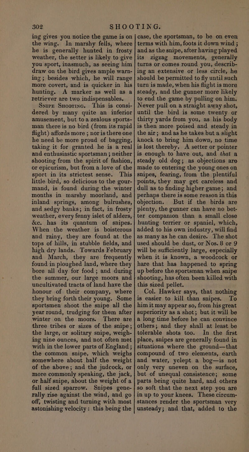 ing gives you notice the game is on the wing. In marshy fells, where he is generally hunted in frosty weather, the setter is likely to give you sport, inasmuch, as seeing him draw on the bird gives ample warn- ing; besides which, he will range more covert, and is quicker in his hunting. A marker as well as a retriever are two indispensables. Syire Sxoorinc. This is consi- dered by many quite an inferior amusement, but to a zealous sports- man there is no bird (from its rapid flight) affords more ; nor is there one he need be more proud of bagging, taking it for granted he is a real and enthusiastic sportsman ; neither shooting from the spirit of fashion, or epicurism, but from a love of the sport in its strictest sense. This little bird, so delicious to the gour- mand, is found during the winter months in marshy moorland, and inland springs, among bulrushes, and sedgy banks; in fact, in frosty weather, every fenny islet of alders, &amp;c. has its quantum of snipes. When the weather is boisterous and rainy, they are found at the tops of hills, in stubble fields, and high dry lands. Towards February and March, they are frequently found in ploughed land, where they bore all day for food ; and during the summer, our large moors and uncultivated tracts of land have the honour of their company, where they bring forth their young. Some sportsmen shoot the snipe all the year round, trudging for them after winter on the moors. There are three tribes or sizes of the snipe; the large, or solitary snipe, weigh- ing nine ounces, and not often met with in the lower parts of England ; the common snipe, which weighs somewhere about half the weight of the above; and the judcock, or more commonly speaking, the jack, or half snipe, about the weight of a full sized sparrow. Snipes gene- rally rise against the wind, and go off, twisting and turning with most astonishing velocity: this being the case, the sportsman, to be on even terms with him, foots it down wind ; and as the snipe, after having played its zigzag movements, generally turns or comes round you, describ- ing an extensive or less circle, he should be permitted to fly until such turn is made, when his flight is more steady, and the gunner more likely to end the game by pulling on him. Never pull on a straight away shot, until the bird is some twenty or thirty yards from you, as his body is then more poised and steady in the air; andas he takes but a slight knock to bring him down, no time is lost thereby. A setter or pointer is enough to have out, and that a steady old dog; as objections are ~ made to entering the young ones on snipes, fearing, from the plentiful points, they may get careless and dull as to finding higher game; and perhaps there is some reason in this objection. But if the birds are plenty, the gunner can have no bet- ter companion than a small close hunting terrier or spaniel, which, added to his own industry, will find as many as he can desire. The shot used should be dust, or Nos. 8 or 9 will be sufficiently large, especially when it is known, a woodcock or hare that has happened to spring up before the sportsman when snipe this sized pellet. Col. Hawker says, that nothing is easier to kill than snipes. To him it may appear so, from his great superiority as a shot; but it will be a long time before he can convince others; and they shall at least be tolerable shots too. In the first place, snipes are generally found in situations where the ground—that compound of two elements, earth but of unequal consistence; some parts being quite hard, and others so soft that the next step you are in up to your knees. These circum- stances render the sportsman very unsteady; and that, added to the