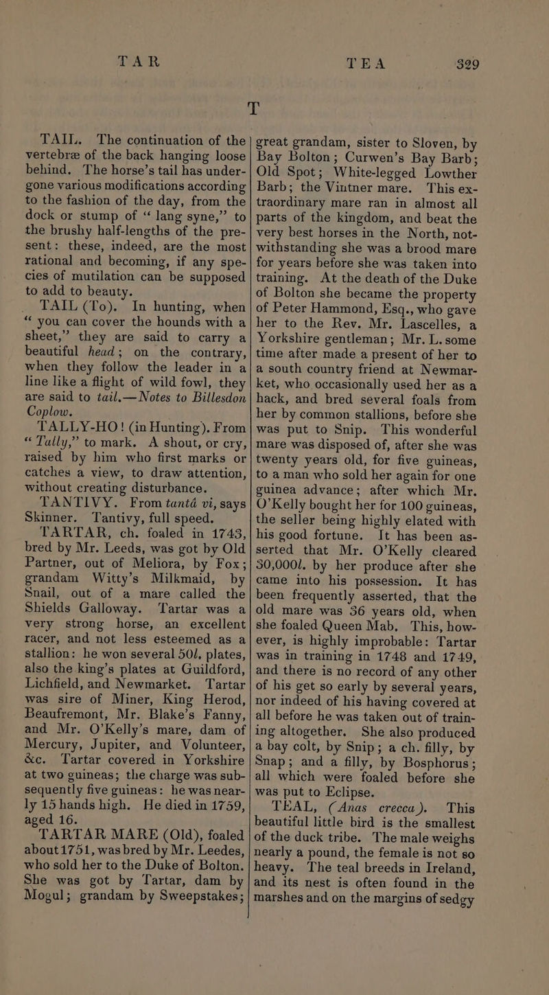 LAR TEA TAIL. The continuation of the vertebre of the back hanging loose behind. The horse’s tail has under- gone various modifications according to the fashion of the day, from the dock or stump of “ lang syne,” to the brushy half-lengths of the pre- sent: these, indeed, are the most rational and becoming, if any spe- cies of mutilation can be supposed to add to beauty. TAIL (To). In hunting, when “ you can cover the hounds with a sheet,” they are said to carry a beautiful head; on the contrary, when they follow the leader in a line like a flight of wild fowl, they are said to tail.— Notes to Billesdon Coplow. TALLY-HO! (in Hunting), From “ Tally,” to mark. A shout, or cry, raised by him who first marks or catches a view, to draw attention, without creating disturbance. TANTIVY. From tanté vi, says Skinner. Tantivy, full speed. TARTAR, ch. foaled in 1743, bred by Mr. Leeds, was got by Old Partner, out of Meliora, by Fox; grandam Witty’s Milkmaid, by Snail, out of a mare called the Shields Galloway. ‘Tartar was a very strong horse, an excellent racer, and not less esteemed as a stallion: he won several 50/, plates, also the king’s plates at Guildford, Lichfield, and Newmarket. Tartar was sire of Miner, King Herod, Beaufremont, Mr. Blake’s Fanny, and Mr. O’Kelly’s mare, dam of Mercury, Jupiter, and Volunteer, &amp;c. Tartar covered in Yorkshire at two guineas; the charge was sub- sequently five guineas: he was near- ly 15 hands high. He died in 1759, aged 16. TARTAR MARE (01d), foaled about 1751, was bred by Mr. Leedes, who sold her to the Duke of Bolton. She was got by Tartar, dam by Mogul; grandam by Sweepstakes; great grandam, sister to Sloven, by Bay Bolton; Curwen’s Bay Barb; Old Spot; White-legged Lowther Barb; the Vintner mare. This ex- traordinary mare ran in almost all parts of the kingdom, and beat the very best horses in the North, not- withstanding she was a brood mare for years before she was taken into training. At the death of the Duke of Bolton she became the property of Peter Hammond, Esq., who gave her to the Rev. Mr. Lascelles, a Yorkshire gentleman; Mr. L.some time after made a present of her to a south country friend at Newmar- ket, who occasionally used her as a hack, and bred several foals from her by common stallions, before she was put to Snip. This wonderful mare was disposed of, after she was twenty years old, for five guineas, to a man who sold her again for one guinea advance; after which Mr. O'Kelly bought her for 100 guineas, the seller being highly elated with his good fortune. It has been as- serted that Mr. O’Kelly cleared 30,000/. by her produce after she came into his possession. It has been frequently asserted, that the old mare was 36 years old, when she foaled Queen Mab. This, how- ever, is highly improbable: Tartar was in training in 1748 and 1749, and there is no record of any other of his get so early by several years, nor indeed of his having covered at all before he was taken out of train- ing altogether. She also produced a bay colt, by Snip; a ch. filly, by Snap; and a filly, by Bosphorus; all which were foaled before she was put to Eclipse. TEAL, (Anas crecca). This beautiful little bird is the smallest of the duck tribe. The male weighs nearly a pound, the female is not so heavy. The teal breeds in Ireland, and its nest is often found in the marshes and on the margins of sedgy
