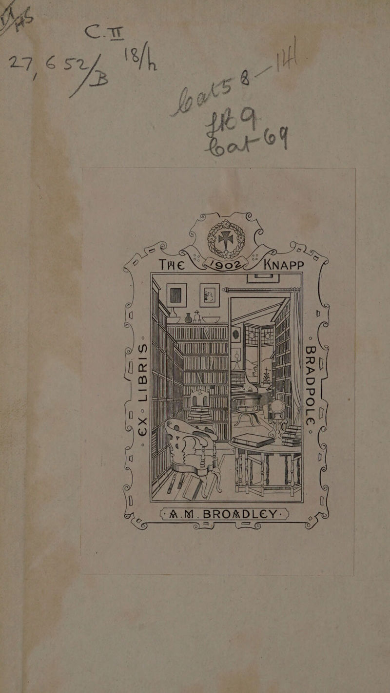 No text description is available for this image