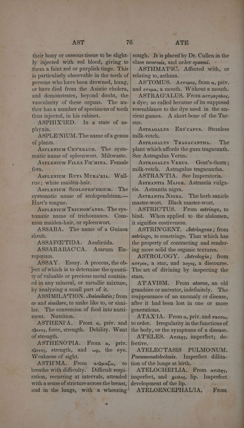 their bony or osseous tissue to be slight- ly injected with red blood, giving to them a faint red or purplish tinge. This is particularly observable in the teeth of persons who have been drowned, hung, or have died from the Asiatic cholera, and demonstrates, beyond doubt, the vascularity of these organs. The au- thor has a number of specimens of teeth thus injected, in his cabinet. ASPHIX’IED. In a state of as- phyxia. ASPLE’NIUM. The name ofa genus of plants. AspLentum Cer/eracu. The syste- matic name of spleenwort. Miltwaste. AspLentum Fitex H'a@’mina. Female fern. Aspientum Ruta Moura/reta. rue; white maiden-hair. AspLenium ScoLopen/prium. The systematic name of scolopendrium.— Hart’s tongue. AspLentumM TricHom’anss. The sys- tematic name of trichomanes. Com- mon maiden-hair, or spleenwort. ASSABA. The name of a Guinea shrub. ASSAFQ/TIDA. Asafostida. ASSARABAC'’CA. Asarum Eu- ropeum. ASSAY. Essay. A process, the ob&gt; ‘ject of which is to determine the quanti- ty of valuable or precious metal contain- ed in any mineral, or metallic mixture, by analyzing a small part of it. ASSIMILA/TION. Assimilatio ; from as and similare, to make like to, or simi- lar. The conversion of food into nutri- ment. Nutrition. ASTHENITA. From a, priv. and ‘oSevos, force, strength. Debility. Want of strength. ASTHENO’'PIA. From a, priv. oSevos, Strength, and wa, the eye. Weakness of sight. ASTH’MA. From aomuolw, to breathe with difficulty. Difficult respi- ration, recurring at intervals, attended with a sense of stricture across the breast, and in the lungs, with a wheezing Wall- 4 cough. It is placed by Dr. Cullen in the class neurosis, and order spasmt. ASTHMATIC. Affected with, or relating to, asthma. AS’/TOMUS.. Aoropos, from a, priv. and oroua, a mouth. Without a mouth. ASTRAG’ALUS. From acrpayanos, a dye; so called because of its supposed resemblance to the dye used in the an- cient games. A short-bone of the Tar- sus. ASTRAGALUS milk-vetch. Astracatus Tracacanrua. The plant which affords the gum tragacanth. See Astragalus Verus. Astracatus Verus. Goat’s-thorn; milk-vetch. Astragalus tragacantha. ASTRAN‘'TIA. See Imperatoria. Astrantia Masor. Astrantia vulga- ris. Astrantia nigra. Astrantia Nigra. The herb sanicle master-wort. Black master-wort. ASTRIC’TUS. From astringo, to bind: When applied to the abdomen, it signifies costiveness. ASTRIN'GENT. Astringens ; from astringo, to constringe. That which has the property of contracting and render- ing more solid the organic textures. ASTROL/OGY.. Astrologia; from aotpov, a Star, and aoyos, a discourse. ° The art of divinmg by inspecting the stars. AT’AVISM. From atavus, an old grandsire or ancestor, indefinitely. The reappearance of an anomaly or disease, after it had been lost in one or more generations. ATAXIA. From a, priv. and racow, to order. Irregularity in the functions of the body, or the symptoms of a disease. AT’ELES. Aceays, imperfect; de- fective. ATELEC’TASIS PULMO/NUM. Pneumonatelectasis. Imperfect dillita- tion of the lungs at birth. ATELOCHEILIA. From azvéeays, Exs/carus. Stemless imperfect, and yevaos, lip. Imperfect development of the lip. &gt; ee ATELOENCEPHAL'A, From
