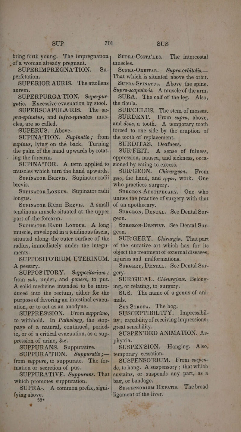 SUP a SUS .of a woman already pregnant. _ SUPERIMPREGNA'TION. perfetation. SUPERIOR AURIS. The attollens aurem. SUPERPURGA'TION. Superpur- gatio. Excessive evacuation by stool. SUPERSCAPULA’RIS. The su- pra-spinatus, and infra-spimatus mus- cles, are so called. SUPERUS. Above. SUPINA’TION. Supinatio; from supinus, lying on the back. Turning the palm of the hand upwards by rotat- ing the forearm. SUPINA’/TOR. A term applied to muscles which turn the hand upwards. Supinator Brevis. Supinator radi brevis. Supinator Lonevs. Supinator radii longus. Surinator Rapu Brevis. A small tendinous muscle situated at the upper part of the forearm. Supinator Rapu Lonevs. A long muscle, enveloped in a tendinous fascia, situated along the outer surface of the radius, immediately under the integu- ments. SUPPOSITO’RIUM UTERINUM. A pessary. SUPPOSTITORY. Suppositorium ; from sub, under, and ponere, to put. A solid medicine intended to be intro- duced into the rectum, either for the purpose of favoring an intestinal evacu- ation, or to act as an anodyne. SUPPRES'SION. From supprimo, to withhold. In Pathology, the stop- page of a natural, continued, period- ic, or of a critical evacuation, as a sup- pression of urine, &amp;c. SUPPURANS. Suppurative. SUPPURA’TION. Suppuratio;— _ from suppuro, to suppurate. The for- ‘ation or secretion of pus. SUPPURATIVE. Suppurans. That which promotes suppuration. SUPRA-. A common prefix, signi- fying sarin 8) € Su- muscles, Supra-Orpitar. Supra-orbitalis— That which is situated above the orbit. Supra-Spinatus. Above the spine. Supra-scapularis. A muscle of the arm. SURA. The calf of the leg. Also, the fibula. SUR’CULUS. The stem of mosses. SURDENT. From supra, above, and dens, a tooth. A temporary tooth forced to one side by the eruption of the tooth of replacement. SURDITAS. Deafness. SUR/FEIT. A sense of fulness, Oppression, nausea, and sickness, occa- sioned by eating to excess. SUR’GEON. Chirurgeon. From xeop, the hand, and epyov, work. One who practices surgery. _ SurGEeon-ApotuH/ecary. One who unites the practice of surgery with that of an apothecary. Surceon, Dentau. See Dental Sur- geon. Surgeon-Dentist. See Dental Sur- geon. SUR’GERY. Chirurgia. That part of the curative art which has for its object the treatment of external diseases, injuries and malformations. Sureery, Dentat. See Dental Sur- gery. SUR’/GICAL. Chirurgicus. Belong- ing, or relating, to surgery. SUS. The name of a genus of ani- mals. Sus Scrora. The hog. SUSCEPTIBILITY. Impressibil- ity; capability of receiving impressions ; great sensibility. SUSPEN’/DED ANIMATION. As- phyxia. SUSPEN’SION. Hanging. temporary cessation. SUSPENSO’RIUM. From suspen- do, tohang. A suspensory ; that which sustains, or suspends any part, as a bag, or bandage. Suspensoriom Hepatis. ' ligament of the liver. Also, The broad