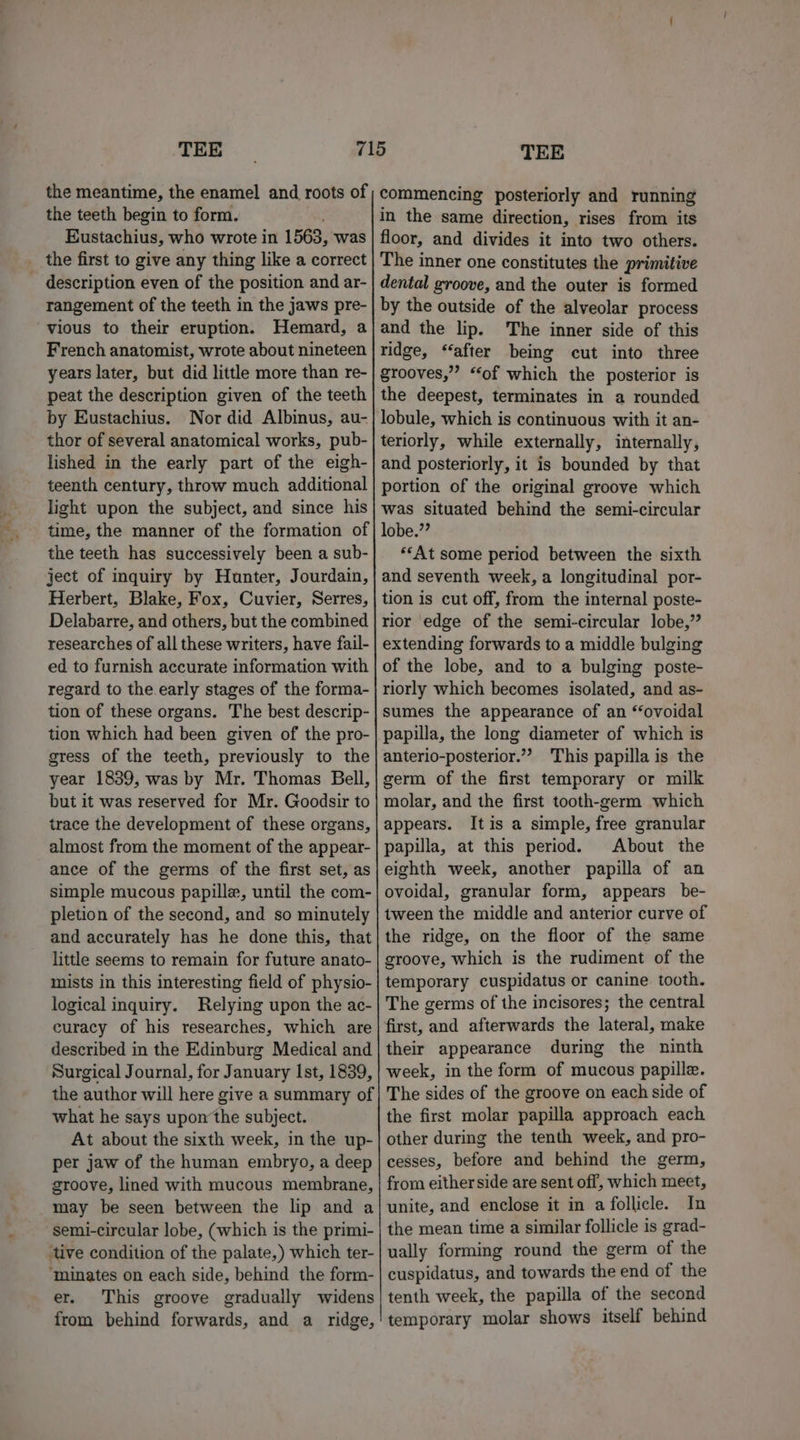 the teeth begin to form. Ricestaclel vik who wrote in 1563, was the first to give any thing like a correct description even of the position and ar- rangement of the teeth in the jaws pre- vious to their eruption. Hemard, a French anatomist, wrote about nineteen years later, but did little more than re- peat the description given of the teeth by Eustachius. Nor did Albinus, au- thor of several anatomical works, pub- lished in the early part of the eigh- teenth century, throw much additional light upon the subject, and since his the teeth has successively been a sub- ject of inquiry by Hunter, Jourdain, Herbert, Blake, Fox, Cuvier, Serres, Delabarre, and others, but the combined researches of all these writers, have fail- ed to furnish accurate information with regard to the early stages of the forma- tion of these organs. The best descrip- tion which had been given of the pro- gress of the teeth, previously to the year 1839, was by Mr. Thomas Bell, but it was reserved for Mr. Goodsir to trace the development of these organs, almost from the moment of the appear- ance of the germs of the first set, as simple mucous papille, until the com- pletion of the second, and so minutely and accurately has he done this, that little seems to remain for future anato- mists in this interesting field of physio- logical inquiry. Relying upon the ac- curacy of his researches, which are described in the Edinburg Medical and Surgical Journal, for January Ist, 1839, the author will here give a summary of what he says upon‘the subject. At about the sixth week, in the up- per jaw of the human embryo, a deep groove, lined with mucous membrane, may be seen between the lip and a semi-circular lobe, (which is the primi- ‘tive condition of the palate,) which ter- ‘minates on each side, behind the form- er. This groove gradually widens from behind forwards, and a ridge, in the same direction, rises from its floor, and divides it into two others. The inner one constitutes the primitive dental groove, and the outer is formed by the outside of the alveolar process and the lip. The inner side of this ridge, “after being cut into three grooves,” “of which the posterior is the deepest, terminates in a rounded lobule, which is continuous with it an- teriorly, while externally, internally, and posteriorly, it is bounded by that portion of the original groove which was situated behind the semi-circular *‘At some period between the sixth and seventh week, a longitudinal por- tion is cut off, from the internal poste- rior edge of the semi-circular lobe,” extending forwards to a middle bulging of the lobe, and to a bulging poste- riorly which becomes isolated, and as- sumes the appearance of an “ovoidal papilla, the long diameter of which is anterio-posterior.”? This papilla is the germ of the first temporary or milk molar, and the first tooth-germ which appears. Itis a simple, free granular papilla, at this period. About the eighth week, another papilla of an ovoidal, granular form, appears be- tween the middle and anterior curve of the ridge, on the floor of the same groove, which is the rudiment of the temporary cuspidatus or canine tooth. The germs of the incisores; the central first, and afterwards the lateral, make their appearance during the ninth week, in the form of mucous papille. The sides of the groove on each side of the first molar papilla approach each other during the tenth week, and pro- cesses, before and behind the germ, from either side are sent off, which meet, unite, and enclose it in a follicle. In the mean time a similar follicle is grad- ually forming round the germ of the cuspidatus, and towards the end of the tenth week, the papilla of the second temporary molar shows itself behind