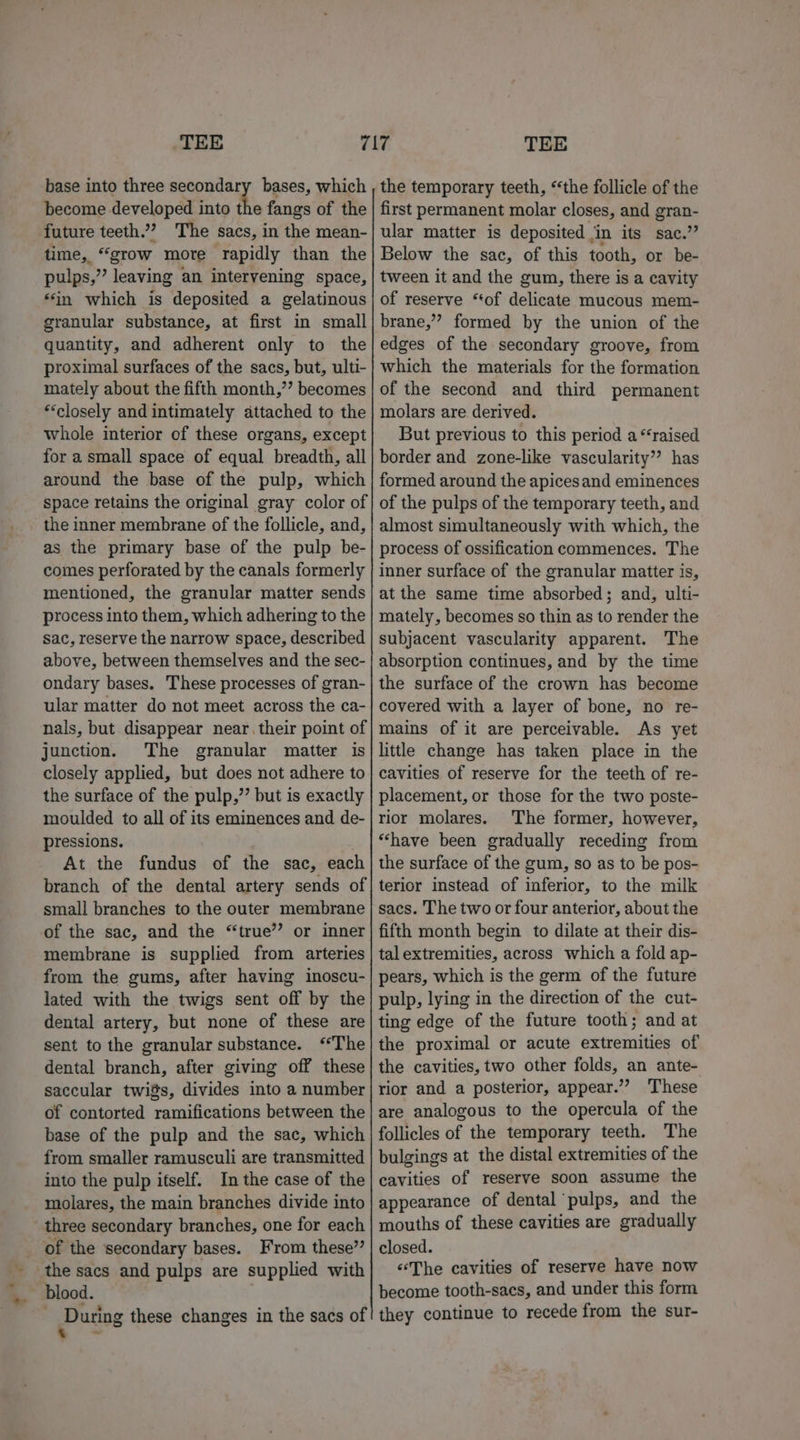 * - . &gt; TEE base into three secondary bases, which become developed into the fangs of the future teeth.”? The sacs, in the mean- time, “grow more rapidly than the pulps,” leaving an intervening space, ‘in which is deposited a gelatinous granular substance, at first in small quantity, and adherent only to the proximal surfaces of the sacs, but, ulti- mately about the fifth month,’’ becomes “closely and intimately attached to the whole interior of these organs, except for a small space of equal breadth, all around the base of the pulp, which space retains the original gray color of the inner membrane of the follicle, and, as the primary base of the pulp be- comes perforated by the canals formerly mentioned, the granular matter sends process into them, which adhering to the sac, reserve the narrow space, described above, between themselves and the sec- ondary bases. These processes of gran- ular matter do not meet across the ca- nals, but disappear near. their point of junction. The granular matter is closely applied, but does not adhere to the surface of the pulp,’’ but is exactly moulded to all of its eminences and de- pressions. : At the fundus of the sac, each branch of the dental artery sends of small branches to the outer membrane of the sac, and the “true” or inner membrane is supplied from arteries from the gums, after having inoscu- lated with the twigs sent off by the dental artery, but none of these are sent to the granular substance. ‘The dental branch, after giving off these saccular twiSs, divides into a number of contorted ramifications between the base of the pulp and the sac, which from smaller ramusculi are transmitted into the pulp itself. In the case of the molares, the main branches divide into of the secondary bases. From these” the sacs and pulps are supplied with blood. ) - During these changes in the sacs of ‘ ~ TEE the temporary teeth, “the follicle of the first permanent molar closes, and gran- ular matter is deposited in its sac.” Below the sac, of this tooth, or be- tween it and the gum, there is a cavity of reserve “tof delicate mucous mem- brane,’ formed by the union of the edges of the secondary groove, from which the materials for the formation of the second and third permanent molars are derived. But previous to this period a “‘raised border and zone-like vascularity”? has formed around the apicesand eminences of the pulps of the temporary teeth, and almost simultaneously with which, the process of ossification commences. The inner surface of the granular matter is, at the same time absorbed; and, ulti- mately, becomes so thin as to render the subjacent vascularity apparent. The absorption continues, and by the time the surface of the crown has become covered with a layer of bone, no re- mains of it are perceivable. As yet little change has taken place in the cavities of reserve for the teeth of re- placement, or those for the two poste- rior molares. The former, however, ‘have been gradually receding from the surface of the gum, so as to be pos- terior instead of inferior, to the milk sacs. The two or four anterior, about the fifth month begin to dilate at their dis- tal extremities, across which a fold ap- pears, which is the germ of the future pulp, lying in the direction of the cut- ting edge of the future tooth; and at the proximal or acute extremities of the cavities, two other folds, an ante- rior and a posterior, appear.”? These are analogous to the opercula of the follicles of the temporary teeth. The bulgings at the distal extremities of the cavities of reserve soon assume the appearance of dental pulps, and the mouths of these cavities are gradually closed. “The cavities of reserve have now become tooth-sacs, and under this form they continue to recede from the sur-
