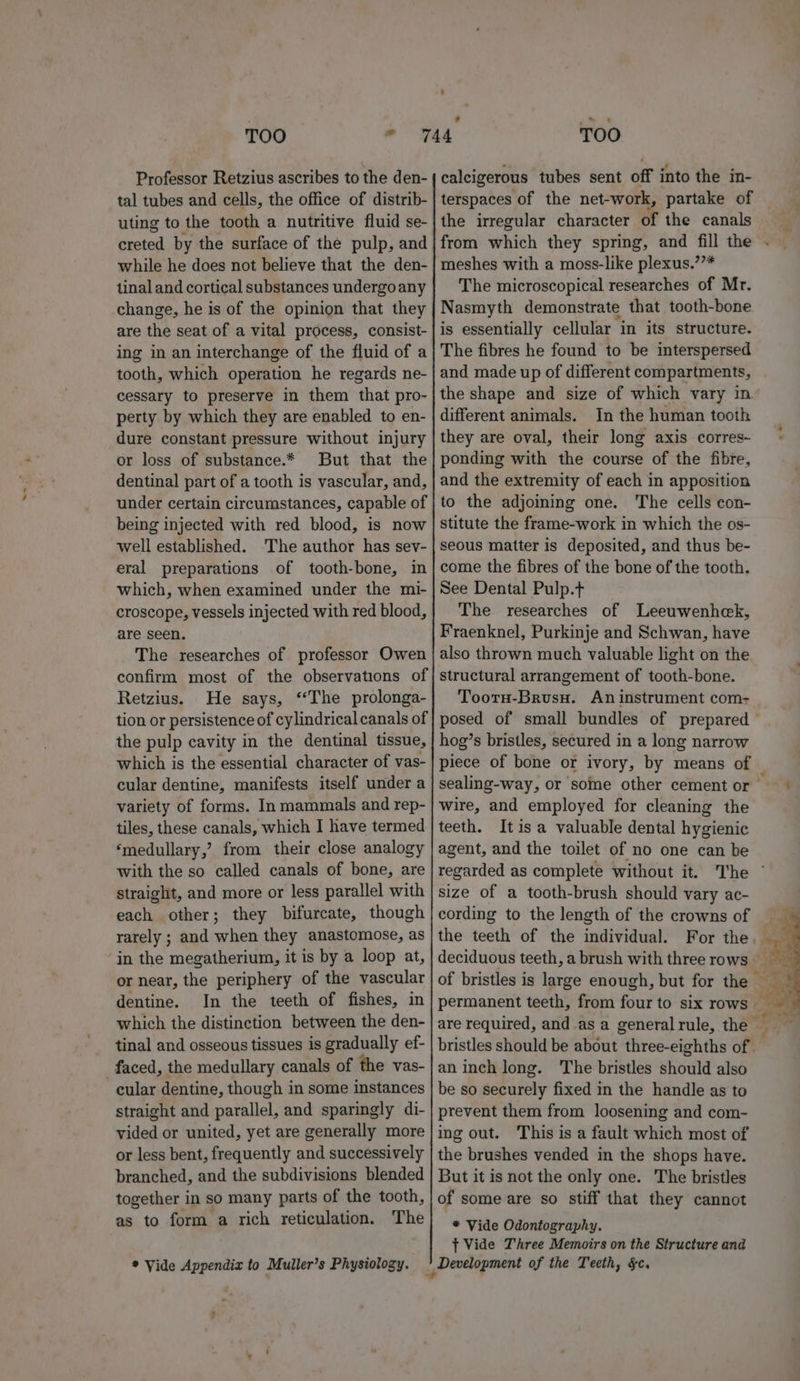TOO * Professor Retzius ascribes to the den- tal tubes and cells, the office of distrib- uting to the tooth a nutritive fluid se- creted by the surface of the pulp, and while he does not believe that the den- tinal and cortical substances undergoany change, he is of the opinion that they are the seat of a vital process, consist- ing in an interchange of the fluid of a tooth, which operation he regards ne- cessary to preserve in them that pro- perty by which they are enabled to en- dure constant pressure without injury or loss of substance.* But that the dentinal part of a tooth is vascular, and, under certain circumstances, capable of being injected with red blood, is now well established. ‘The author has sev- eral preparations of tooth-bone, in which, when examined under the mi- are seen. The researches of professor Owen confirm most of the observations of Retzius. He says, ‘‘The prolonga- tion or persistence of cylindrical canals of the pulp cavity in the dentinal tissue, which is the essential character of vas- cular dentine, manifests itself under a variety of forms. In mammals and rep- tiles, these canals, which I have termed ‘medullary,’ from their close analogy with the so called canals of bone, are straight, and more or less parallel with each other; they bifurcate, though rarely ; and when they anastomose, as in the megatherium, it is by a loop at, or near, the periphery of the vascular dentine. In the teeth of fishes, in which the distinction between the den- tinal and osseous tissues is gradually ef- faced, the medullary canals of the vas- cular dentine, though in some instances straight and parallel, and sparingly di- vided or united, yet are generally more or less bent, frequently and successively branched, and the subdivisions blended together in so many parts of the tooth, as to form a rich reticulation. The * Vide Appendix to Muller’s Physiology. q ? = 3 TOO calcigerous tubes sent off into the in- terspaces of the net-work, partake of the irregular character of the canals from which they spring, and fill the meshes with a moss-like plexus.’”* The microscopical researches of Mr. Nasmyth demonstrate that tooth-bone is essentially cellular ‘in its structure. The fibres he found to be interspersed and made up of different compartments, the shape and size of which vary in different animals. In the human tooth they are oval, their long axis corres~ ponding with the course of the fibre, and the extremity of each in apposition to the adjoining one. The cells con- stitute the frame-work in which the os- seous matter is deposited, and thus be- come the fibres of the bone of the tooth. See Dental Pulp.t The researches of Leeuwenhek, Fraenknel, Purkinje and Schwan, have also thrown much valuable light on the structural arrangement of tooth-bone. Tootu-Brusu. An instrument com- posed of small bundles of prepared hog’s bristles, secured in a long narrow piece of bone or ivory, by means of | sealing-way, or some other cement or wire, and employed for cleaning the teeth. It isa valuable dental hygienic agent, and the toilet of no one can be regarded as complete without it. size of a tooth-brush should vary ac- cording to the length of the crowns of the teeth of the individual. For the. deciduous teeth, a brush with three rows of bristles is large enough, but for the permanent teeth, from four to six rows are required, and as a general rule, the © bristles should be about three-eighths oft an inch long. The bristles should also be so securely fixed in the handle as to prevent them from loosening and com- ing out. This is a fault which most of the brushes vended in the shops have. But it is not the only one. The bristles of some are so stiff that they cannot * Vide Odontography. { Vide Three Memoirs on the Structure and he ass. me: «i $f vs is