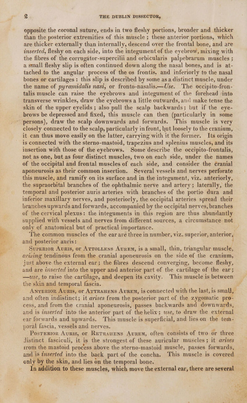 opposite the coronal suture, ends in two fleshy portions, broader and _ thicker than the posterior extremities of this muscle; these anterior portions, which are thicker externally than internally, descend over the frontal bone, and are inserted, fleshy on each side, into the integument of the eyebrow, mixing with the fibres of the corrugator-supercilii and orbicularis palpebrarum muscles ; a small fleshy slip is often continued down along the nasal bones, and is at- tached to the angular process of the os frontis, and inferiorly to the nasal bones or cartilages: this slip is described by some as a distinct muscle, under the name of pyramidalis nasi, or fronto-nasalis——Use. The occipito-fron- talis muscle can raise the eyebrows and integument of the forehead ‘into transverse wrinkles, draw the eyebrows a little outwards, ani make tense the skin of the upper eyelids ; also pull the scalp backwards; but if the eye- brows be depressed and fixed, this muscle can then (particularly in some “ persons), draw the scalp downwards and forwards. ‘This muscle is very closely connected to the scalp, particularly in front, but loosely to the cranium, it can thus move easily on the latter, carrying with it the former. Its origin is connected with the sterno-mastoid, trapezius and splenius muscles, and its insertion with those of the eyebrows. Some describe the occipito-frontalis, not as one, but as four distinct muscles, two on each side, under the names of the occipital and frontal muscles of each side, and consider the cranial aponeurosis as their common insertion. Several vessels and nerves perforate this muscle, and ramify on its surface and in the integument, viz. anteriorly, the supraorbital branches of the ophthalmic nerve iat artery; laterally, the temporal and posterior auris arteries with branches of the portio dura and inferior maxillary nerves, and posteriorly, the occipital arteries spread their branches upwards and forwards, accompanied by the occipital nerves, branches of the cervical plexus: the integuments in this region are thus abundantly supplied with vessels and nerves from different sources, a circumstance not only of anatomical but of practical importance. The common muscles of the ear are three in number, viz. superior, ; anterior, and posterior auris: Superior Auris, or ATTOLLENS Aurem, is a small, thin, tr iangular muscle, arising tendinous from the cranial aponeurosis on the side of the cranium, just above the external ear; the fibres descend converging, become fleshy, and are inserted into the upper and anterior part of the cartilage of the ear; —use, to raise the cartilage, and deepen its cavity. This muscle i is between the skin and temporal fascia. Anrerior Auris, or ArrTRaAHENS AUREM, is connected ih the last, is small and often indistinct; it arises from the posterior part of the zygomatic pro- cess, and from the cranial aponeurosis, passes backwards and downwards, and is inserted into the anterior part of the helix; use, to draw the external ear forwards and upwards. This muscle is super Bical and lies on the tern- poral fascia, vessels and nerves. Posterior Auris, or RuTrauuns Avurem, often consists of two or three distinet fasciculi, it is the str ongest of these auricular muscles; it arises from the mastoid process above the sterno-mastoid muscle, passes forwards, and i8 ¢nserted into the back part of the concha. This muscle is covered only by the skin, and lies on the temporal bone. In addition to these muscles, which move the external ear, there are several
