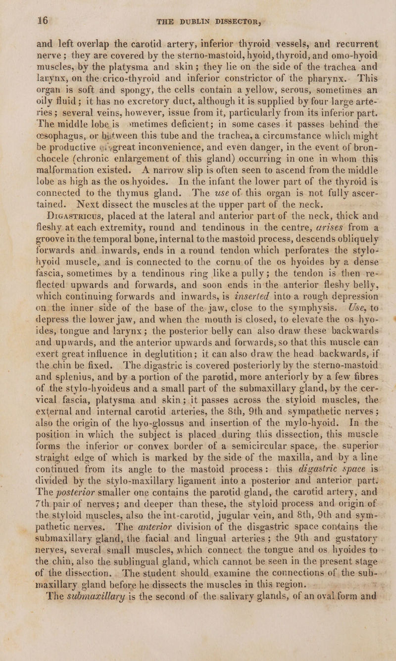 and left overlap the carotid artery, inferior thyroid vessels, and recurrent nerve ; they are covered by the sterno-mastoid, hyoid, thyroid, and omo-hyoid muscles, by the platysma and skin; they lie on the side of the trachea and larynx, on the crico-thyroid and inferior constrictor of the pharynx.: This organ is soft and spongy, the cells contain a yellow, serous, sometimes an oily fluid; it has no excretory duct, although it is supplied by four large arte- ries; several veins, however, issue from it, particularly from its inferior part. The middle lobe,is_ »metimes deficient; in some cases. it passes behind the cesophagus,.or between this tube and the trachea, a circumstance which might be productive i ygreat inconvenience, and even danger, in the event of bron: checele (chronic enlargement of this gland) occurring in one in whom this malformation existed. a narrow slip is often seen to ascend from the middle lobe as high as the os hyoides. In the infant the lower part of the thyroid is connected to the thymus gland. The use of: this organ is not fully ascer- tained. Next dissect the muscles at the upper part of the neck. Diceasrricus, placed at the lateral and anterior part of the neck, thick and fleshy at each extremity, round and tendinous in the centre, arises from a groove in the temporal bone, internal to the mastoid precess, descends obliquely forwards and inwards, ends in around tendon which perforates the stylo- hyoid muscle, and is connected to the cornu.of the os hyoides by a dense fascia, sometimes by a tendinous ring like a pully; the tendon is then re-. flected: upwards and forwards, and soon ends in‘the anterior fleshy belly, which continuing forwards and inwar ds, is anserted into.a rough depression: on. the imner sale of the base of the: jaw, close to the symphysis. Use, to depress the lower jaw, and when the mouth is closed, to elevate the os hyo- ides, tongue and larynx; the posterior belly can also draw these backwards and upwards, and the anterior upwards and forwards, so that this muscle can exert great influence in deglutition; it can also draw the head. backwards, if the chin be fixed. The.digastric is covered posteriorly by the sterno-mastoid and splenius, and by a portion of the parotid, more anteriorly by a few fibres _ of the stylo-hyoideus and a small part of the submaxillary gland, by the cer- vical fascia, platysma and skin; it passes across the. styloid muscles, the. external and internal carotid ar teries, the Sth, 9th and sympathetic nerves ; also the origin of the hyo-glossus and insertion of the mylo-hyoid. In. the position in which the subject is placed during this dissection, this muscle forms the inferior or convex border of a semicircular space, the, superior straight edge of which is marked by the side of the maxilla, and by a line continued from its angle to the mastoid process: this dégastric space is divided by the stylo-maxillary ligament into a posterior and anterior part. The posterior smaller one contains the parotid gland, the carotid artery, and 7th pair of nerves; and deeper than these, the “styloid process and. origin of the styloid muscles; also the int-carotid, jugular vein, and 8th, 9th and sym-. pathetic nerves. The anterior division of the disgastric space contains the submaxillary gland, the facial and lingual arteries; the 9th and gustatory nerves, several. small muscles, which connect the tongue and os. hyoides to - the chin, also the sublingual gland, which cannot be seen in the present stage of the dissection. The student should examine the connections of the sub-. maxillary. gland before he dissects the muscles in this region. , . The submaxillary i is the second of the salivary g slands, of an oval aa and