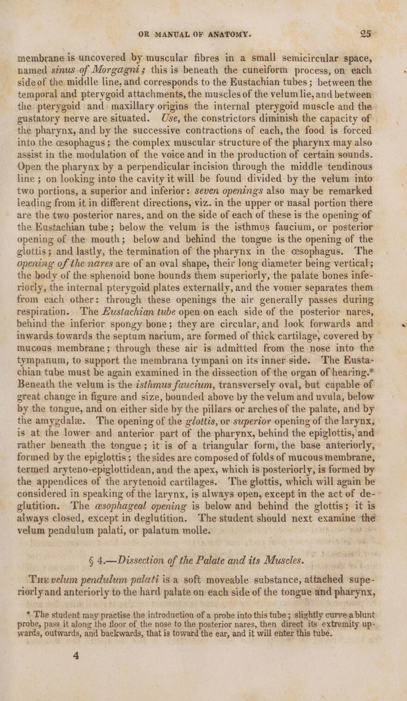 membrane is-uncovered by muscular fibres in a small semicircular space, named sinus .of Morgagni; this is beneath the cuneiform process, on each sideof the middle line, and corresponds to the Eustachian tubes; between the temporal and pterygoid attachments, the muscles of the velum lie, and between the pterygoid and» maxillary origins the internal pterygoid muscle and the gustatory nerve are situated. Use, the constrictors diminish the capacity of the pharynx, and by the successive contractions of each, the food is forced into the cesophagus; the complex muscular structure of the pharynx may also assist in the modulation of the voice and in the production of certain sounds. Open the pharynx by a perpendicular incision through the middle tendinous line ; on looking into the cavity it will be found divided by the velum into two portions, a superior and inferior: seven openings also may be remarked leading from it in different directions, viz. in the upper or nasal portion there are the two posterior nares, and on the side of each of these is the opening of the Eustachian tube; below the velum is the isthmus faucium, or posterior opening of the mouth; below and behind the tongue is the opening of the glottis; and lastly, the termination of the pharynx in the cesophagus. The opening of the nares are of an oval shape, their long diameter being vertical; the body of the sphenoid bone bounds them superiorly, the palate bones infe- riorly, the internal pterygoid plates externally, and the vomer separates them from each other: through these openings the air generally passes during. respiration. The Lustachian tube open on each side of the posterior nares, behind the inferior sponzy bone; they are circular, and look forwards and - inwards towards the septum narium, are formed of thick cartilage, covered by — mucous membrane; through these air is admitted from the nose into the tympanum, to support the membrana tympani on its inner side. chian tube must be again examined in the dissection of the organ of hearing.* Beneath the velum is the isthmus faucium, transversely oval, but capable of great change in figure and size, bounded above by the velum and uvula, below by the tongue, and on either side by the pillars or arches of the palate, and by the amygdale. The opening of the glottis, or superior opening of the larynx, is at the lower and anterior part of the pharynx, behind the epiglottis, and» rather beneath the tongue; it is of a triangular form, the base anteriorly, formed by the epiglottis; the sides are composed of folds of mucous membrane, termed aryteno-epiglottidean, and the apex, which is posteriorly, is formed by the appendices of the arytenoid cartilages. The glottis, which will again be considered in speaking of the larynx, is always open, except in the act of de-- glutition. The @sophageal opening is below and behind the glottis; it is always closed, except in deglutition. The student should next examine the velum pendulum palati, or palatum molle. Hag ae § 4.—Dissection of the Palate and its Muscles. - Tue velum pendulum palati is a soft moveable substance, attached supe- riorly and anteriorly to the hard palate on each side of the tongue and pharynx, * The student may practise the introduction of a probe into this tube; slightly curve.a blunt probe, pass it along the floor of the nose to the posterior nares, then direct its extremity up-.. wards, outwards, and backwards, that is toward the ear, and it will enter this tube. 4