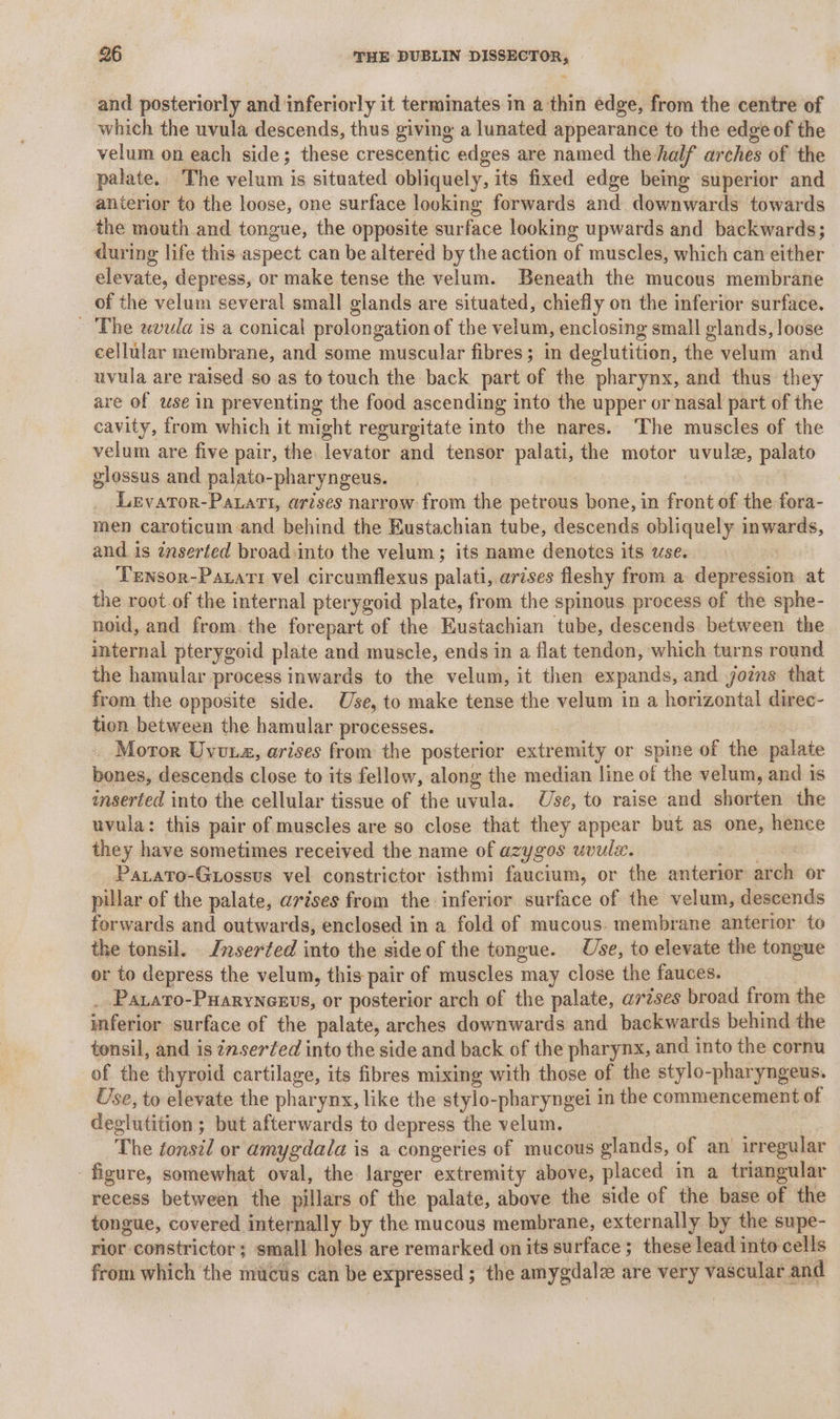 and posteriorly and inferiorly it terminates in a thin edge, from the centre of which the uvula descends, thus giving a lunated appearance to the edge of the velum on each side; these crescentic edges are named the half arches of the palate. The velum is situated obliquely, its fixed edge being superior and anterior to the loose, one surface looking forwards and downwards towards the mouth and tongue, the opposite surface looking upwards and backwards; during life this aspect can be altered by the action of muscles, which can either elevate, depress, or make tense the velum. Beneath the mucous membrane of the velum several small glands are situated, chiefly on the inferior surface. The wvula is a conical prolongation of the velum, enclosing small glands, loose cellular membrane, and some muscular fibres; in deglutition, the velum and uvula are raised so as to touch the back part of the pharynx, and thus they are of use in preventing the food ascending into the upper or nasal part of the cavity, from which it might regurgitate into the nares. The muscles of the velum are five pair, the levator and tensor palati, the motor uvule, palato glossus and palato-pharyngeus. Levaror-Patati, arises narrow from the petrous bone, in front of the fora- men caroticum:and behind the Eustachian tube, descends obliquely inwards, and is inserted broad into the velum; its name denotes its use. : Tensor-Patart vel circumflexus palati, arises fleshy from a depression at the root of the internal pterygoid plate, from the spinous process of the sphe- noid, and from, the forepart of the Eustachian ‘tube, descends. between the internal pterygoid plate and muscle, ends in a flat tendon, which turns round the hamular process inwards to the velum, it then expands, and joins that from the opposite side. Use, to make tense the velum in a horizontal direc- tion between the hamular processes. _ Moror Uyuta, arises from the posterior extremity or spine of the palate bones, descends close to its fellow, along the median line of the velum, and is inserted into the cellular tissue of the uvula. Use, to raise and shorten the uvula: this pair of muscles are so close that they appear but as one, hence they have sometimes received the name of azygos uvulx. | Patato-Guossus vel constrictor isthmi faucium, or the anterior arch or pillar of the palate, arises from the inferior surface of the velum, descends forwards and outwards, enclosed in a fold of mucous. membrane anterior to the tonsil. Znserted into the side of the tongue. Use, to elevate the tongue or to depress the velum, this pair of muscles may close the fauces. _ Patato-Puarynexvs, or posterior arch of the palate, arises broad from the inferior surface of the palate, arches downwards and backwards behind the tonsil, and is inserted into the side and back of the pharynx, and into the cornu of the thyroid cartilage, its fibres mixing with those of the stylo-pharyngeus. Use, to elevate the pharynx, like the stylo-pharyngei in the commencement of deglutition ; but afterwards to depress the velum. | : The tonsil or amygdaia is a congeries of mucous glands, of an irregular figure, somewhat oval, the larger extremity above, placed in a triangular recess between the pillars of the palate, above the side of the base of the tongue, covered internally by the mucous membrane, externally by the supe- rior constrictor; small holes are remarked on its surface ; these lead into cells from which the mucus can be expressed ; the amygdalz are very vascular and