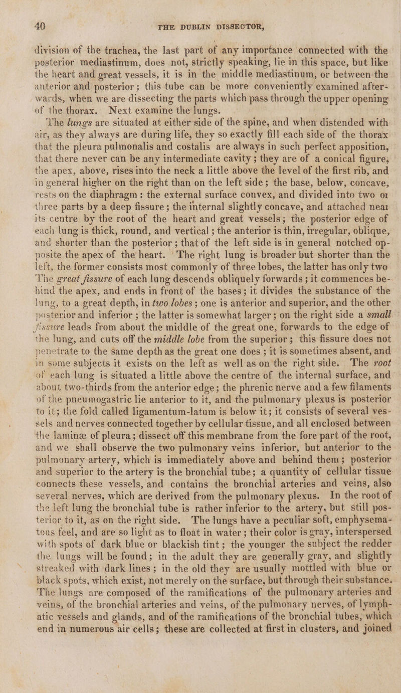 division of the trachea, the last part of any importance connected with the posterior mediastinum, does not, strictly speaking, lie in this space, but like the heart and great vessels, it is in the middle mediastinum, or between the anterior and posterior; this tube can be more conveniently examined after- wards, when we are dissecting the parts which pass through the upper opening of the thorax. Next examine the lungs. The lungs are situated at either side of the spine, and when distended with air, as they always are during life, they so exactly fill each side of the thorax that the pleura pulmonalis and costalis are always in such perfect apposition, that there never can be any intermediate cavity ; they are of a conical figure, the apex, above, rises into the neck a little above the level of the first rib, and in general higher on the right than on the left side; the base, below, concave, rests on the diaphragm : the external surface convex, and divided into two ox three parts by a deep fissure ; the internal slightly concave, and attached near its centre by the root of ae heart and great vessels; the posterior edge of each lung is thick, round, and vertical ; the anterior is thin, irregular, oblique, and shorter than the posterior ; that of the left side is in general notched op- posite the apex of the heart. ‘The right lung is broader but shorter than the left, the former consists most commonly of three lobes, the latter has only two The great fissure of each lung descends obliquely forwards ; it commences be-. hind the apex, and ends in front of the bases; it divides the substance of the lung, to a great depth, in éwo /obes ; one is anterior and superior, and the other posterior and inferior ; the latter is Ganiewhad larger ; on the right side a small Jissure leads from about the middle of the great one, forwards to the edge of Av lung, and cuts off the middle lobe from the superior; this fissure does not penetrate to the same depth as the great one does ; it is sometimes absent, and in some subjects it exists on the left as well as on the right side. The root of each lung is situated a little above the centre of the internal surface, and about two- hinds from the anterior edge ; the phrenic nerve and a few filaments of the pneumogastric lie anterior to it, and the pulmonary plexus is posterior to it; the fold called ligamentum-latum is below it; it consists of several ves- sels and nerves connected together by cellular tissue, and all enclosed between the laminze of pleura; dissect off this membrane from the fore part of the root, and we shall observe the two pulmonary veins inferior, but anterior to the pulmonary artery, which ts immediately above and behind them; posterior and superior to the artery is the bronchial tube; a quantity of cellular tissue connects these vessels, and contains the bronchial arteries and veins, also several nerves, which are derived from the pulmonary plexus. In the root of the left lung the bronchial tube is rather inferior to the artery, but still pos- terior to it, as on the right side. The lungs have a peculiar soft, emphysema- tous feel, and are so light as to float in water; their color is gray, interspersed with spots of dark blue or blackish tint ; the younger the subject the redder the lungs will be found; in the adult they are generally gray, and slightly streaked with dark lines ; ; in the old they are usually mottled with blue or | black spots, which exist, not merely on the surface, but through their substance. The lungs are composed of the ramifications of the pulmonary arteries and veins, of the bronchial arteries and veins, of the pulmonary nerves, of lymph- atic vessels and glands, and of the radiificatiee of the bronchial tubes, which end in numerous air cells; these are collected at first in clusters, and joined