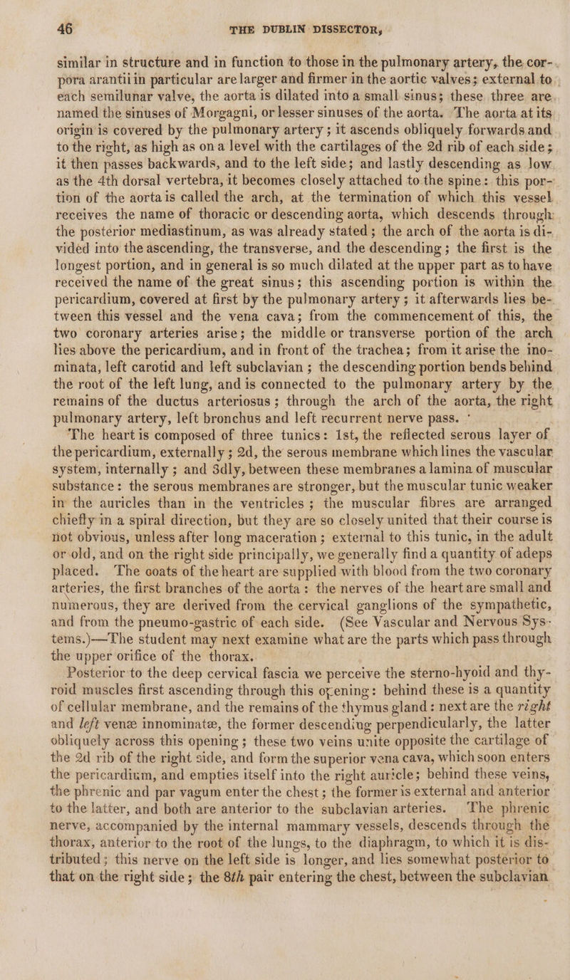 similar in structure and in function to those in the pulmonary artery, the cor-. pora arantiiin particular are larger and firmer in the aortic valves; external to. each semilunar valve, the aorta is dilated into a small sinus; these three are named the sinuses of Morgagni, or lesser sinuses of the aorta. The aorta at its origin is covered by the pulmonary artery ; it ascends obliquely forwards and to the right, as high as ona level with the cartilages of the 2d rib of each side; it then passes backwards, and to the left side; and lastly descending as low as the 4th dorsal vertebra, it becomes closely attached to the spine: this por- tion of the aortais called the arch, at the termination of which this vessel receives the name of thoracic or descending aorta, which descends through the posterior mediastinum, as was already stated; the arch of the aorta is di- vided into the ascending, the transverse, and the descending ; the first is the longest portion, and in general is so much dilated at the upper part as to have received the name of the great sinus; this ascending portion is within the pericardium, covered at first by the pulmonary artery ; it afterwards lies be- tween this vessel and the vena cava; from the commencement of this, the two coronary arteries arise; the middle or transverse portion of the arch hes above the pericardium, and in front of the trachea; from it arise the ino- minata, left carotid and left subclavian ; the descending portion bends behind the root of the left lung, and is connected to the pulmonary artery by the remains of the ductus arteriosus; through the arch of the aorta, the right pulmonary artery, left bronchus and left recurrent nerve pass. The heart is composed of three tunics: ist, the reflected serous layer of the pericardium, externally ; 2d, the serous membrane which lines the vascular system, internally ; and 3dly, between these membranes a lamina of muscular substance: the serous membranes are stronger, but the muscular tunic weaker in the auricles than in the ventricles ; the muscular fibres are arranged chiefly in a spiral direction, but they are so closely united that their course is not obvious, unless after long maceration ; external to this tunic, in the adult or old, and on the right side principally, we generally find a quantity of adeps placed. The coats of the heart are supplied with blood from the two coronary arteries, the first branches of the aorta: the nerves of the heart are small and nuinerous, they are derived from the cervical ganglions of the sympathetic, and from the pneumo-gastrie of each side. (See Vasdnian and Nervous Sys- tems.)-——The student may next examine what are the parts which pass through the upper orifice of the thorax. Posterior'to the deep cervical fascia we perceive the sterno- hyoid and thy- roid muscles first ascending through this oyening: behind these is a quantity of cellular membrane, and the remains of the thymus gland: nextare the right and deft vene innominate, the former descending perpendicularly, the latter obliquely across this opening ; these two veins unite opposite the cartilage of the 2d rib of the right side, aaa form the superior vena cava, which soon datirs the pericardium, and empties itself into the right auricle ; behind these veins, the phrenic and par vagum enter the chest; the former is external and anterior to the latter, and both are anterior to the sabelieant arteries. The phrenic nerve, accompanied by the internal mammary vessels, descends through the thorax, anterior to the root of the lungs, to the diaphragm, to which it is dis- tributed ; this nerve on the left side is longer, and lies somewhat posterior to that on the right side ; the 8th pair entering the chest, between the subclavian