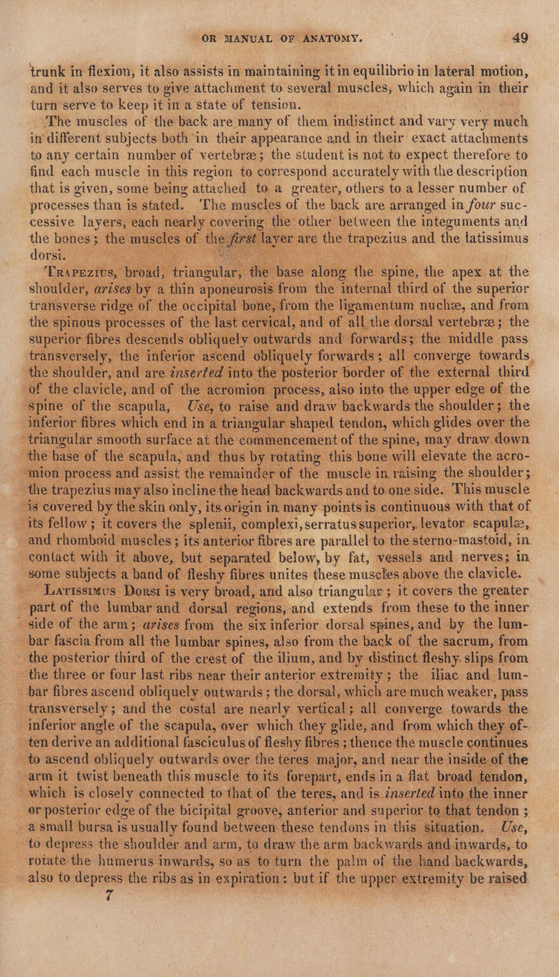 trunk in flexion, it also assists in maintaining it in equilibrio in lateral motion, and it also serves to give attachment to several muscles, which again in their turn serve to keep it ina state of tension. The muscles of the back are many of them indistinct and vary very much in different subjects both in their appearance and in their exact attachments to any certain number of vertebrae; the student is not to expect therefore to find each muscle in this region to éorrespond accurately with the description that is given, some being attached to a greater, others to a lesser number of processes than is stated. The muscles of the back are arranged in four suc- cessive layers, each nearly ¢ covering the other between the integuments and the bones ; the mus: : es of th er are the ‘oat and the latissimus dome cate see Ce | rom the ‘inter rom the cope Hele and dram fr a ea BE the superior she spinous edge ofthe ; of t the las superior: fibres des - obli nudate | ‘pass ua ae towar 4 of ee ei: ine? of th spine of the scapula, Us ae fibres which end i in 3 x . rape oe. whi it n Ae: ane may draw down smion process eke ae ted re the trapezius may also incline the bck backwards and to. Ha re This aoe 4s covered. by the skin only, its origin in many points is continuous with that of its fellow; it covers the splenii, complexi, serratus superior, levator scapula, and rhomboid muscles ; its anterior fibres are parallel to the sterno-mastoid, in contact with it above, but separated below, by fat, vessels and nerves; in “some: subjects a band of fleshy fibres unites those museles above the clavicle. ~Larissimus Dorst is very broad, and also triangular ; it covers the greater pat: of the lumbar and dorsal regions, and extends from these to the inner side of the arm; arises from the six inferior dorsal spines, and by the lum- bar fascia from all the lumbar spines, also from the back of the sacrum, from the posterior third of the. crest of the ilium, and by distinct fleshy. slips from the three or four last ribs near their anterior extremity ; 3 the iliac and lum-— bar fibres ascend obliquely outwards ; the dorsal, which are much weaker, pass _ transversely; and the costal are nearly vertical; all converge towards the inferior angle of the scapula, over which they ehdes and from which they of- ; ro) nes deri ive an additional Saas of Healy fibr es tiene the musele conti wes ‘ or ae dee of he bicipital gr oove, Bieter a superior t at tendon ; : a small bursa is usually forand: between. these tendons in this 5 uation. Use, to depress the shoulder and arm, to draw the arm backwards and. inwards, to rotate the humerus inwards, so as to turn the palm of the hand backwards, also to depress the ribs as in expiration: but i the upper. extremity be raised v4