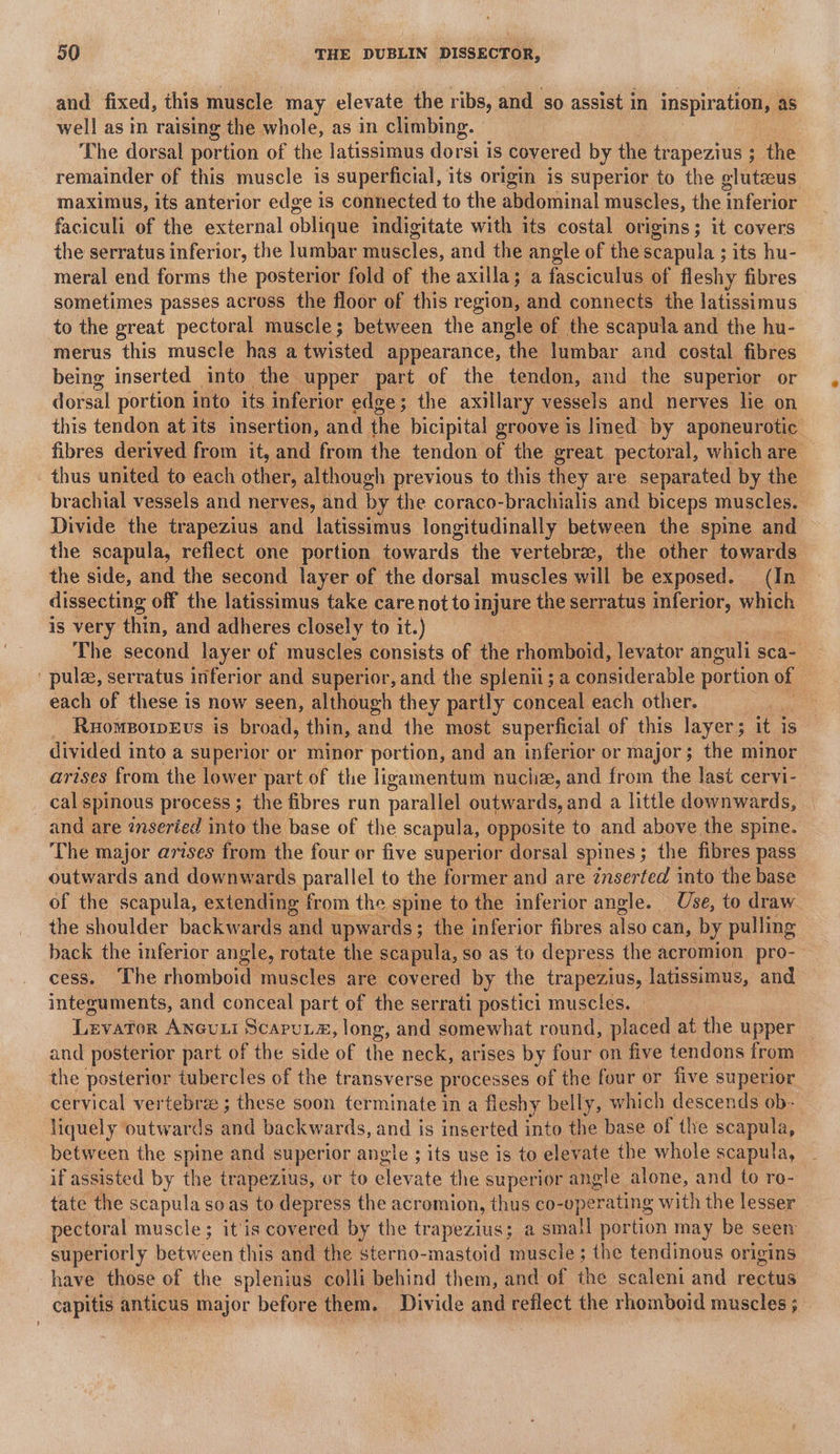 and fixed, this muscle may elevate the ribs, and so assist in inspiration, as well as in raising the whole, as in climbing. The dorsal portion of the latissimus dorsi is covered by the trapezius ; the remainder of this muscle is superficial, its origin is superior to the gluteus maximus, its anterior edge is connected to the abdominal muscles, the Taferior faciculi of the external oblique indigitate with its costal origins; it covers the serratus inferior, the lumbar peilbs, and the angle of the scapula ;its hu- meral end forms the posterior fold of the axilla; a fasciculus of fleshy fibres sometimes passes across the floor of this region, and connects the latissimus to the great pectoral muscle; between the angle of the scapula and the hu- merus this muscle has a twisted appearance, ‘the lumbar and costal fibres being inserted into the upper part of the tendon, and the superior or dorsal portion into its inferior edge; the axillary vessels and nerves lie on this tendon at its insertion, and the bicipital groove is lmed by aponeurotic fibres derived from it, and from the tendon of the great pectoral, which are _ thus united to each other, although previous to this they are separated by the brachial vessels and nerves, and by the coraco-brachialis and biceps muscles. — Divide the trapezius and latissimus longitudinally between the spine and the scapula, reflect one portion towards the vertebrae, the other towards the side, and the second layer of the dorsal muscles will be exposed. (In. dissecting off the latissimus take care not to injure the serratus inferior, which is very thin, and adheres closely to it.) The second layer of muscles consists of the rhomboid, levator anguli sca- pulee, serratus inferior and superior, and the splenii; a considerable portion of each of these is now seen, although they partly conceal each other. 3 _ RuomporpeEvs is broad, thin, and the most superficial of this layer ; it | is divided into a superior or minor portion, and an inferior or major; the minor arises from the lower ‘part of the ligamentum nuciiz, and from the last cervi- cal spinous process; the fibres run parallel outwards, and a little downwards, | and are inseried into the base of the scapula, opposite to and above the spine. The major arises from the four or five superior dorsal spines ; ; the fibres pass outwards and downwards parallel to the former and are znserted into the base of the scapula, extending from the spine to the inferior angle. Use, to draw the shoulder backwards and upwards ; ; the inferior fibres also can, by pulling back the inferior angle, rotate the scapula, so as to depress the acromion pro- cess. The rhomboid muscles are covered by the trapezius, latissimus, and integuments, and conceal part of the serrati postici muscles. Levator Anevut ScapuLs#, long, and somewhat round, placed at the upper and posterior part of the side of the neck, arises by four on five tendons from the posterior tubercles of the transverse processes of the four or five superior cervical vertebrae ; these soon terminate in a fleshy belly, which descends ob- liquely outwards and backwards, and is inserted into the base of the scapula, between the spine and superior angle ; its use is to elevate the whole scapula, if assisted by the trapezit us, or to ane the superior angle alone, and to ro- tate the scapula soas to depress the acromion, thus co- operating with the lesser pectoral muscle; itis covered by the trapezius; a small portion may be seen superiorly between this and the sterno-mastoid muscle ; the tendinous origins have those of the splenius colli behind them, and of the scaleni and rectus capitis anticus major before them. Divide ang reflect the rhomboid muscles ;