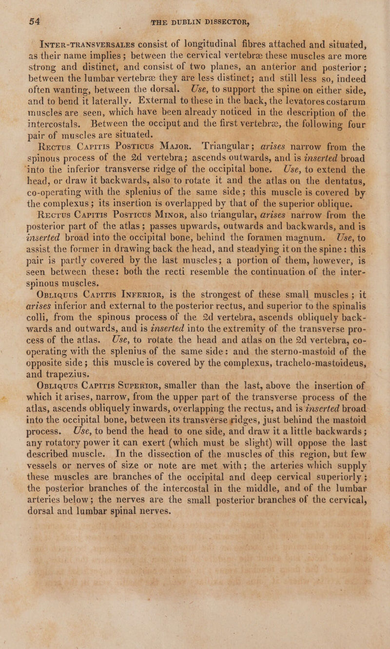INTER-TRANSVERSALES consist of longitudinal fibres attached and situated, as their name implies; between the cervical vertebra these muscles are more strong and distinct, and consist of two planes, an anterior and posterior ; between the lumbar vertebra they are less distinct; and still less so, indeed often wanting, between the dorsal. Use, to support the spine on either side, and to bend it laterally. External to these in the back, the levatores costarum muscles are seen, which have been already noticed in the description of the intercostals. Between the occiput and the first vertebrae, the following four pair of muscles are situated. Rectus Caprrris Posricus Magor. Triangular ; arises narrow from fhe spinous process of the 2d vertebra; ascends outwards, and is inserted broad ‘into the inferior transverse ridge of the occipital bone. Use, to extend the head, or draw it backwards, als: to rotate it and the atlas on the dentatus, co- operating with the splenius of the same side; this muscle is covered. by the complexus; its insertion is overlapped by that of the superior oblique. Recrvus Caritis Posricus Minor, also triangular, arises narrow from the posterior part of the atlas; passes upwards, outwards and backwards, and is inserted broad into the occipital bone, behind the foramen magnum. Use, to assist the former in drawing back the head, and steadying it on the spine: this pair is partly covered by the last muscles; a portion of them, however, is. seen between these: both the recti resemble the continuation of the inter- spinous muscles, — Oxsriquus Cariris Inrerior, is the strongest of these small tiulacles.s 3; it arises inferior and external to the posterior rectus, and superior to the spinalis colli, from the spinous process of the 2d vertebra, ascends obliquely back- wards and outwards, and is inserted into the extremity of the transverse pro- cess of the atlas. Use, to rotate the head and atlas on the 2d vertebra, co- operating with the splenius of the same side: and the sterno-mastoid of the opposite side; this muscleis covered by the complexus, trachelo upstondensy and trapezius. Ozstiquus Capiris Superior, smaller than the last, above the insertion of which it arises, narrow, from the upper part of the transverse process of the atlas, ascends obliquely inwards, overlapping the rectus, and is znserted broad into the occipital bone, between its transverse ridges, just behind the mastoid process. Use, to bend the head to one side, and draw it a little backwards ; any rotatory power it can exert (which must be slight) will oppose the last described muscle. In the dissection of the muscles of this region, but few vessels or nerves of size or note are met with; the arteries which supply these muscles are branches of the occipital and deep cervical superiorly ; the posterior branches of the intercostal in the middle, and of the lumbar arteries below; the nerves are the small posterior branches of the cervical, dorsal and lumbar spinal nerves.