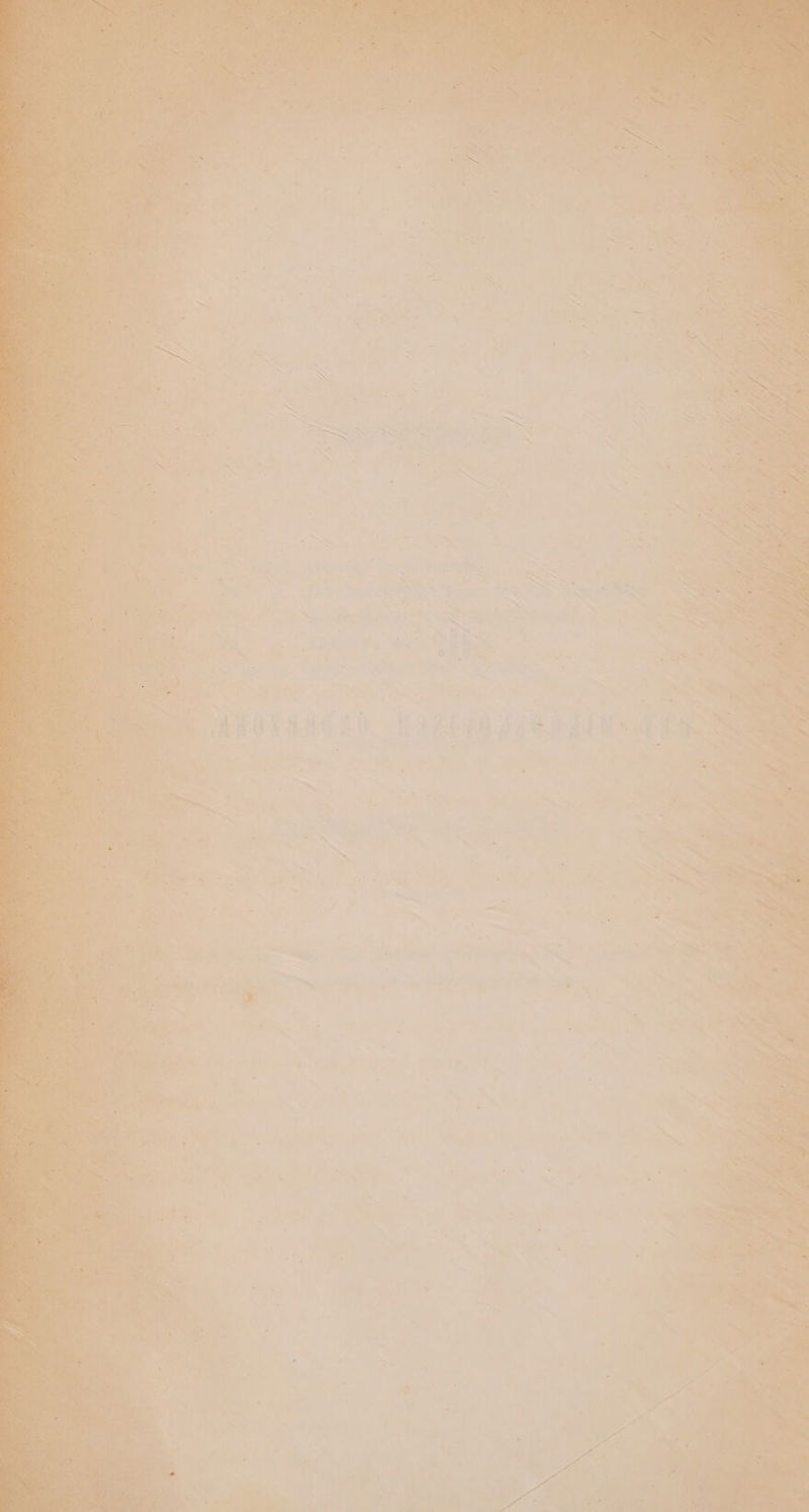 + * ™ on shipaadnbiditeald iar : f : we ot ‘~