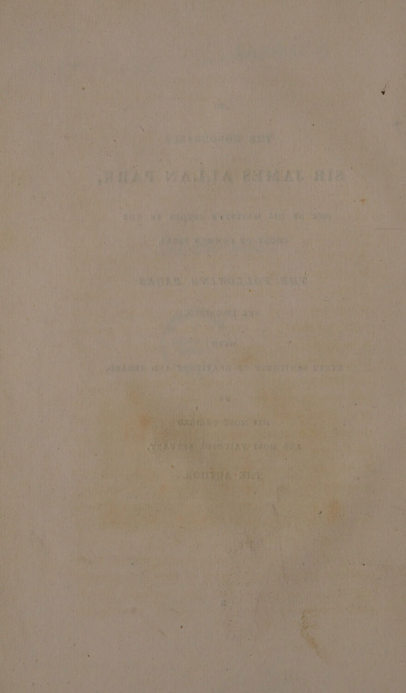 SINE wun Ste ay ai 4 ey porn fi ap dete aie ped eo vi \ ji, Reet: A eae i i ae he Co vk | 4 KRG ah a? a9 Aes : ; % oe ce a. I eeeeeed Le TLE Sr ek ap ae Hes pen) 14 a One ey ‘i th ARON EG patito r
