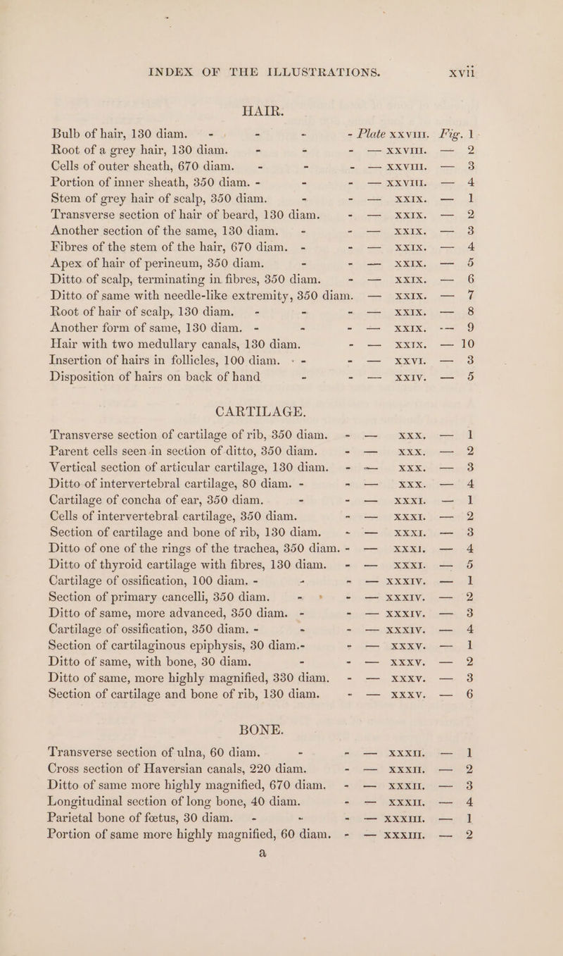 HAIR. Bulb of hair, 130 diam. - - ~ Root of a grey hair, 130 diam. - - Cells of outer sheath, 670. diam. - - Portion of inner sheath, 350 diam. - - Stem of grey hair of scalp, 350 diam. - Transverse section of hair of beard, 130 diam. Another section of the same, 130 diam. = Fibres of the stem of the hair, 670 diam. - Apex of hair of perineum, 350 diam. - Ditto of scalp, terminating in fibres, 350 diam. Root of hair of scalp, 130 diam. - - Another form of same, 130 diam. - - Hair with two medullary canals, 130 diam. Insertion of hairs in follicles, 100 diam. - - Disposition of hairs on back of hand - CARTILAGE. Transverse section of cartilage of rib, 350 diam. Parent cells seen in section of ditto, 350 diam. Vertical section of articular cartilage, 130 diam. Ditto of intervertebral cartilage, 80 diam. - Cartilage of concha of ear, 350 diam. - Cells of intervertebral cartilage, 350 diam. Section of cartilage and bone of rib, 130 diam. Ditto of thyroid cartilage with fibres, 130 diam. Cartilage of ossification, 100 diam. - - Section of primary cancelli, 350 diam. - - Ditto of same, more advanced, 350 diam. - Cartilage of ossification, 350 diam. - - Section of cartilaginous epiphysis, 30 diam.- Ditto of same, with bone, 30 diam. - Section of cartilage and bone of rib, 130 diam. BONE. Transverse section of ulna, 60 diam. - Cross section of Haversian canals, 220 diam. Ditto of same more highly magnified, 670 diam. Longitudinal section of long bone, 40 diam. Parietal bone of feetus, 30 diam. - ~ ra} — XXVIII. —— _ XXIX, NO NGIUNC —— XXIx. Sa ROO XVil AWODOAOAN AA KBRWONHe RWDY = DWN POW HSH OO SP OOD = BR OCOD &amp; | oe FWD =