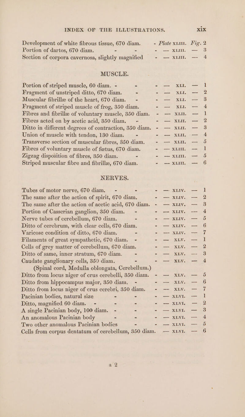 Development of white fibrous tissue, 670 diam. - Plate xu111. Portion of dartos, 670 diam. - - - — XII. Section of corpora cavernosa, slightly magnified - — XLII. MUSCLE. Portion of striped muscle, 60 diam. - - si | Rd, Fragment of unstriped ditto, 670 diam. - - — XII. Muscular fibrille of the heart, 670 diam. = - - — XII. Fragment of striped muscle of frog, 350 diam. - — XII. Fibres and fibrillee of voluntary muscle, 350 diam. - — XLn. Fibres acted on by acetic acid, 350 diam. = - — XLII. Ditto in different degrees of contraction, 8350 diam. - — XLII. Union of muscle with tendon, 130 diam. - - — XLII. Transverse section of muscular fibres, 350 diam. - — XL. Fibres of voluntary muscle of foetus, 670 diam. - — XLII. Zigzag disposition of fibres, 350 diam. - - — XLII. Striped muscular fibre and fibrille, 670 diam. - — XI. NERVES. Tubes of motor nerve, 670 diam. - &gt; - — XLIVv. The same after the action of spirit, 670 diam. - — XLIV. The same after the action of acetic acid, 670 diam. - — XLIV. Portion of Casserian ganglion, 350 diam. = - - — XLIV. Nerve tubes of cerebellum, 670 diam. - - — XLiv. Ditto of cerebrum, with clear cells, 670 diam. - — XLIVv. Varicose condition of ditto, 670 diam. - - -—- XLIv. Filaments of great sympathetic, 670 diam. - - — XLV. Cells of grey matter of cerebellum, 670 diam. - — XLY. Ditto of same, inner stratum, 670 diam. - - — XLY. Caudate ganglionary cells, 350 diam. - - — XLV. (Spinal cord, Medulla oblongata, Cerebellum.) Ditto from locus niger of crus cerebelli, 350 diam. - — XLyY. Ditto from hippocampus major, 350 diam. - - — XLV. Ditto from locus niger of crus cerebri, 350 diam. - -- XLY. Pacinian bodies, natural size - - - — XLYI. Ditto, magnified 60 diam. - - - - — XLVI. A single Pacinian body, 100 diam. - - - — XLVI. An anomalous Pacinian body - - - — XLVI. Two other anomalous Pacinian bodies - - — XLVI. Cells from corpus dentatum of cerebellum, 350 diam. — XLVI. m O9 bo aOnm— aA Pw DK PR W DO KH PwWMreE AS oO BP OOD = Aap ONE NAA