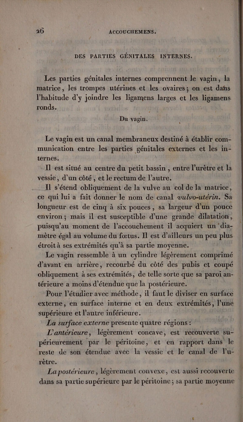 DES PARTIES GÉNITALES INTERNES. / Les parties génitales internes comprennent le vagin, la matrice, les trompes utérines et les ovaires; on est dañs l'habitude d'y joindre les ligamens larges et les ou ronds. Du vagin. Le vagin est un canal membraneux destiné à établir com- munication entre les parties génitales externes et les in- ternes. Il est situé au centre du petit bassin , entre l’urètre et la vessie, d'un côté , et le rectum de l’autre. Il s'étend obliquement de la vulve au col de la matrice, ce qui lui a fait donner le nom de canal wulvo-utérin. Sa longueur est de cinq à six pouces, sa largeur d’un pouce environ ; mais il est susceptible d’une grande dilatation, puisqu'au moment de l'accouchement il acquiert un ‘dia- mètre égal au volume du fœtus. Il est d’ailleurs un peu plus étroit à ses extrémités qu’à sa partie moyenne. Le vagin ressemble à un cylindre légèrement comprimé d'avant en arrière, recourbé du côté des pubis et coupé obliquement à ses extrémités, de telle sorte que sa paroi an- térieure a moins d'étendue que la postérieure. Pour l’étudier avec méthode, il faut Le diviser en surface externe, en surface interne et en deux extrémités, l'une supérieure et l’autre inférieure. La surface externe presente quatre régions : L'antérieure, légèrement concave, est recouverte su- périeurement par le péritoine, et en rapport dans le reste de son étendue avec la vessie et le canal de l’u- rêtre. La postérieure , légèrement convexe, est aussi recouverte dans sa partie supérieure par le péritoine; sa partie moyenne