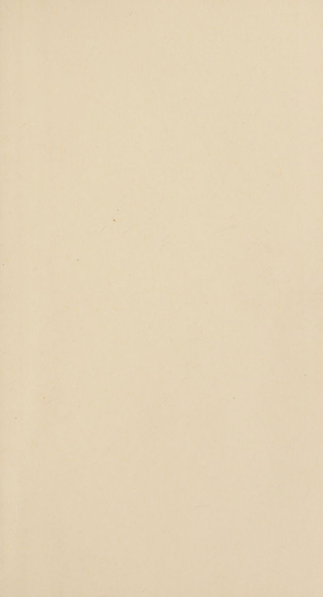 digitised image 3
