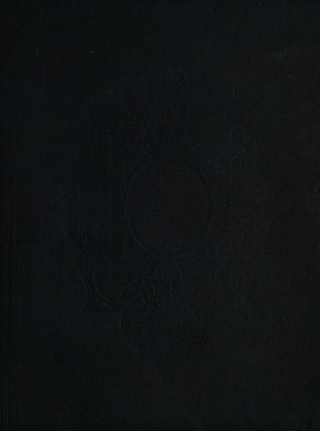 digitised image 1