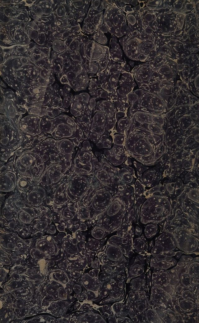 digitised image 2