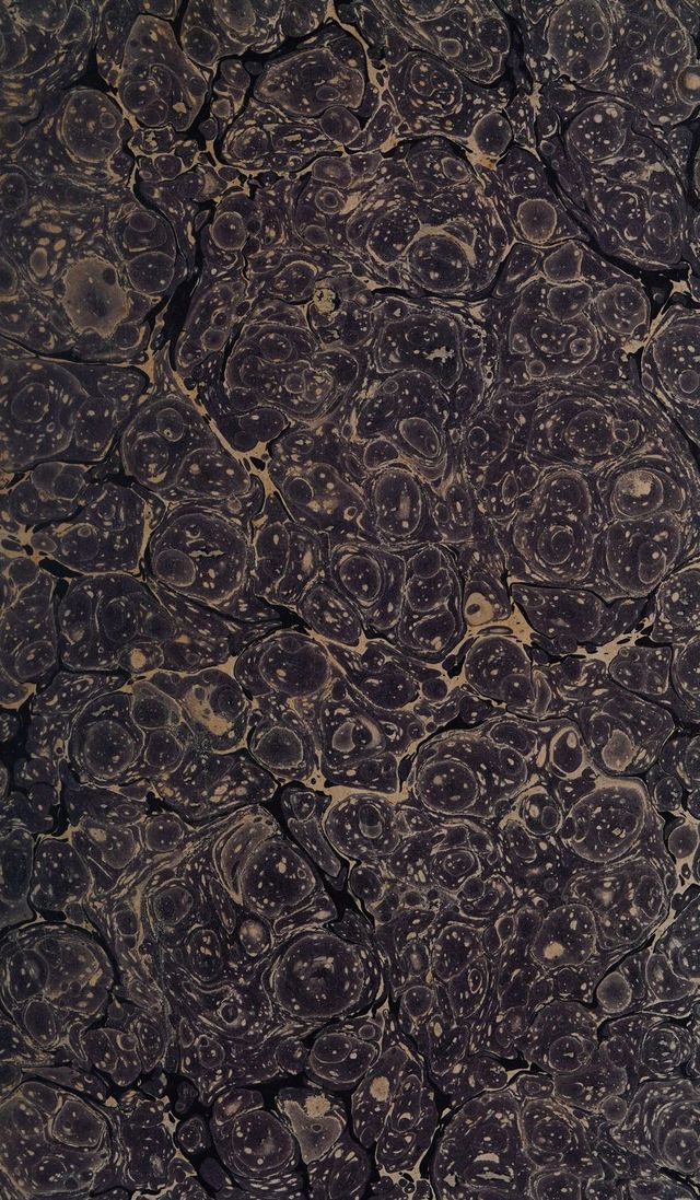 digitised image 3