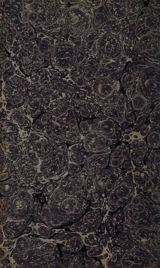 digitised image 2