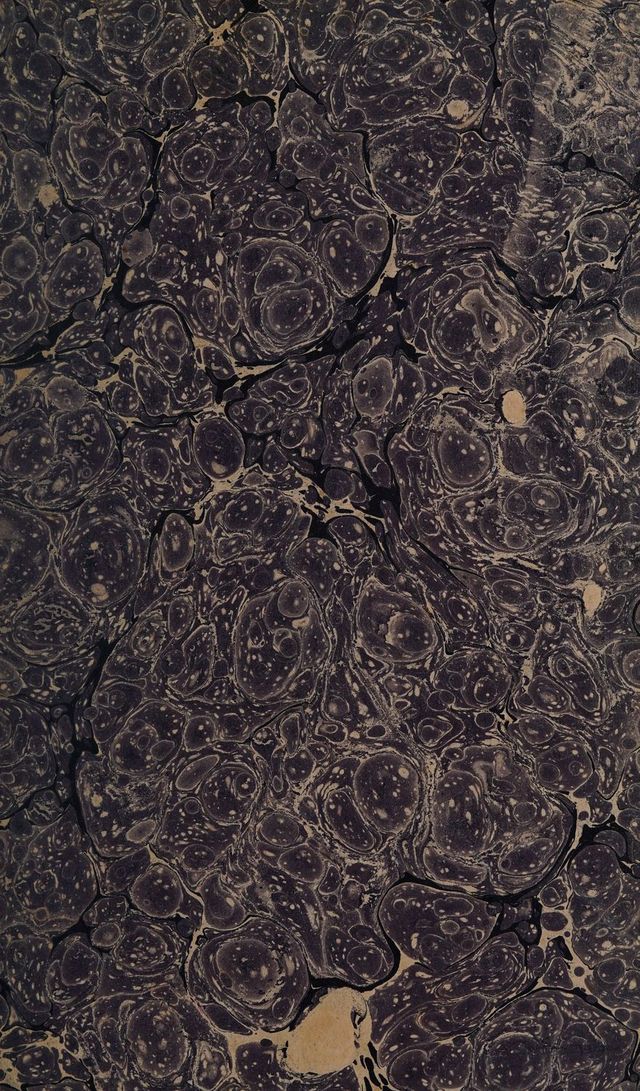 digitised image 3