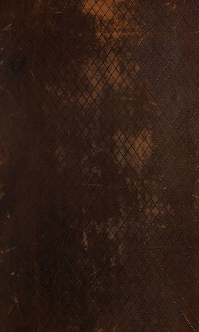 digitised image 1