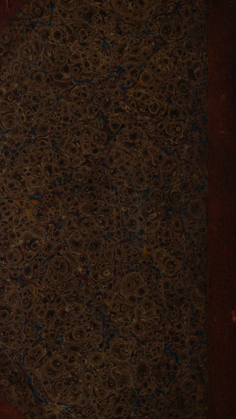 . Ph . . ro + = *% : Fah &gt; cael 7 ” oe a am se pgs i es , i . 1 ' . ’ , Ah ( i ‘ 1