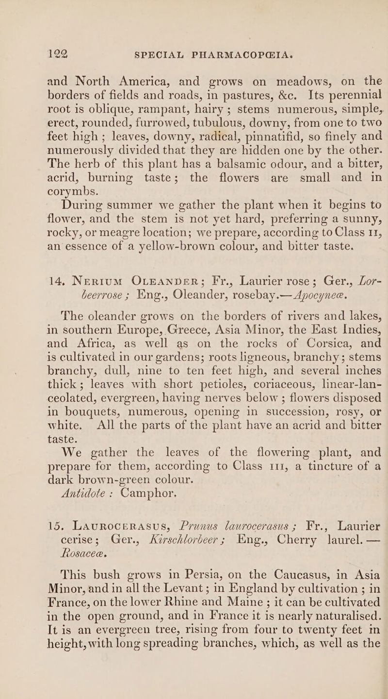 and North America, and grows on meadows, on the borders of fields and roads, in pastures, &amp;c. Its perennial root is oblique, rampant, hairy ; stems numerous, simple, erect, rounded, furrowed, tubulous, downy, from one to two feet high ; leaves, downy, radical, pinnatifid, so finely and numerously divided that they are hidden one by the other. The herb of this plant has a balsamic odour, and a bitter, acrid, burning taste; the flowers are small and in corymbs. During summer we gather the plant when it begins to flower, and the stem is not yet hard, preferring a sunny, rocky, or meagre location; we prepare, according to Class 11, an essence of a yellow-brown colour, and bitter taste. 14, Nertum OLEANDER; Fr., Laurier rose; Ger., Lor- beerrose ; Kng., Oleander, rosebay.— Apocynee. The oleander grows on the borders of rivers and lakes, in southern Europe, Greece, Asia Minor, the East Indies, and Africa, as well as on the rocks of Corsica, and is cultivated in our gardens; roots ligneous, branchy; stems branchy, dull, nine to ten feet high, and several inches thick; leaves with short petioles, coriaceous, linear-lan- ceolated, evergreen, having nerves below ; flowers disposed in bouquets, numerous, opening in succession, rosy, or white. All the parts of the plant have an acrid and bitter taste. We gather the leaves of the flowering plant, and prepare for them, according to Class 111, a tincture of a dark brown-green colour. Antidote : Camphor, 15. LAurocerasus, Prunus laurocerasus ; Fr., Laurier cerise; Ger., Kzrschlorbeer; Emng., Cherry laurel. — fosacee. This bush grows in Persia, on the Caucasus, in Asia Minor, and in all the Levant ; in England by cultivation ; in France, on the lower Rhine and Maine; it can be cultivated in the open ground, and in France it is nearly naturalised. It is an evergreen tree, rising from four to twenty feet in height, with long spreading branches, which, as well as the