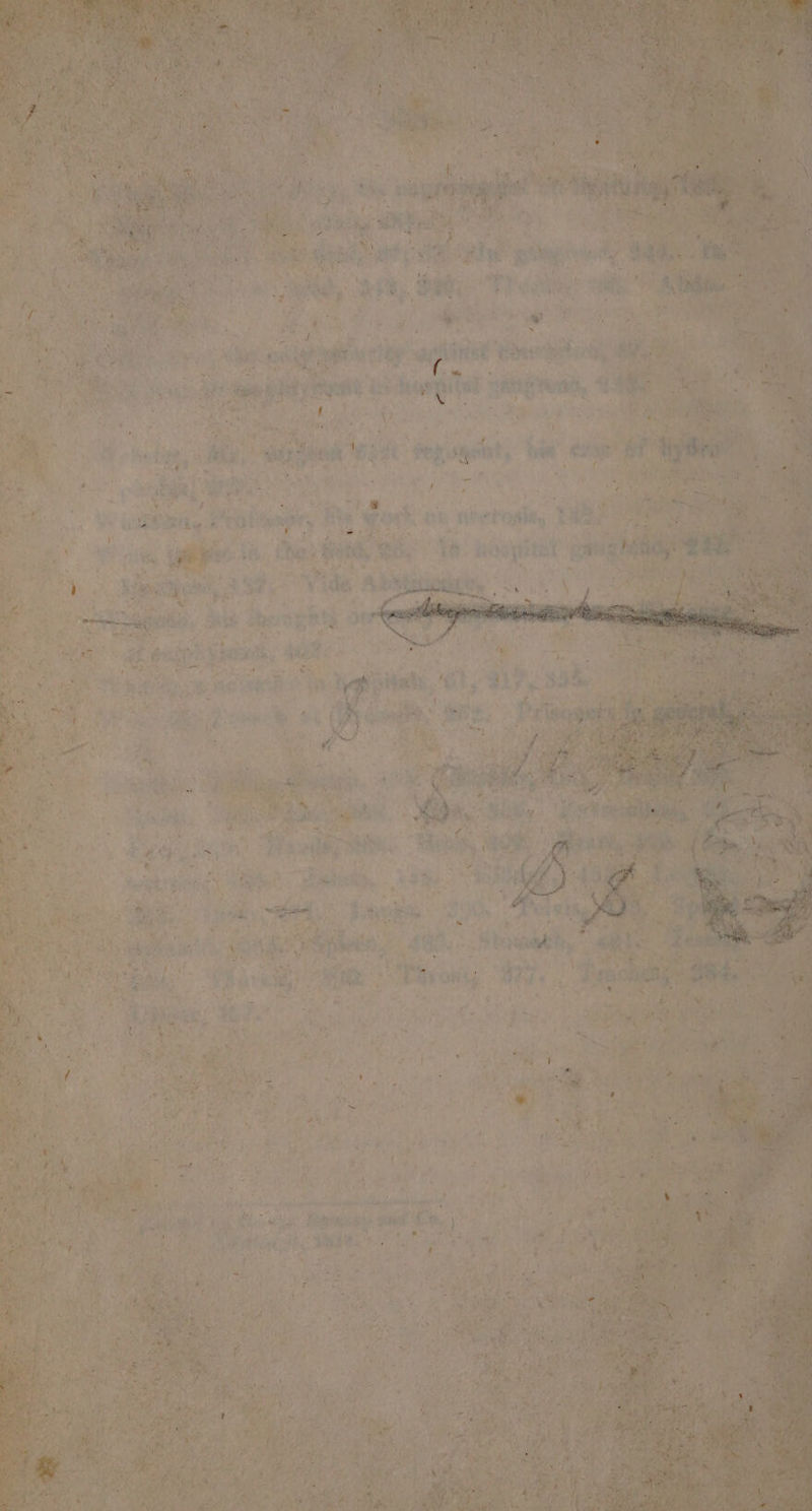 . é ¢ Siee, - x * ia aes