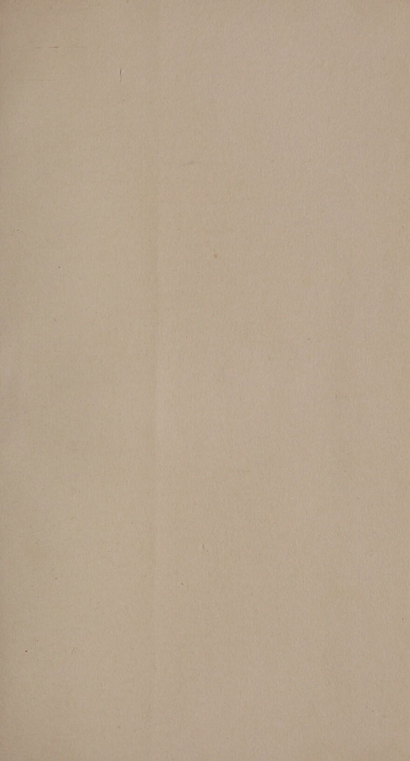 AS Rate, ry as iP PANT ae ve aah Neha ty’ h hus nv