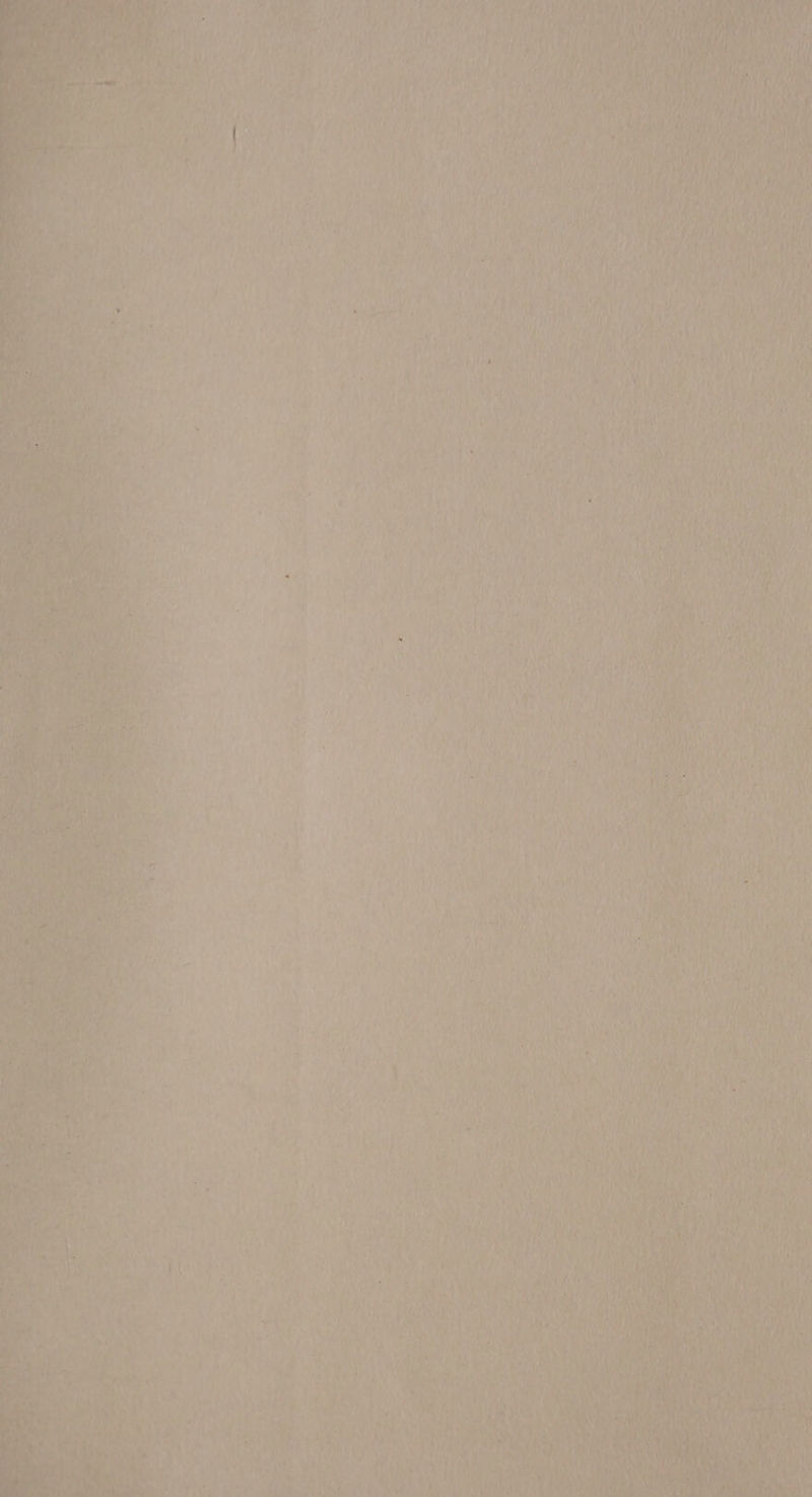 aM es asd é Io Bree ’ a ae 4 x ne)