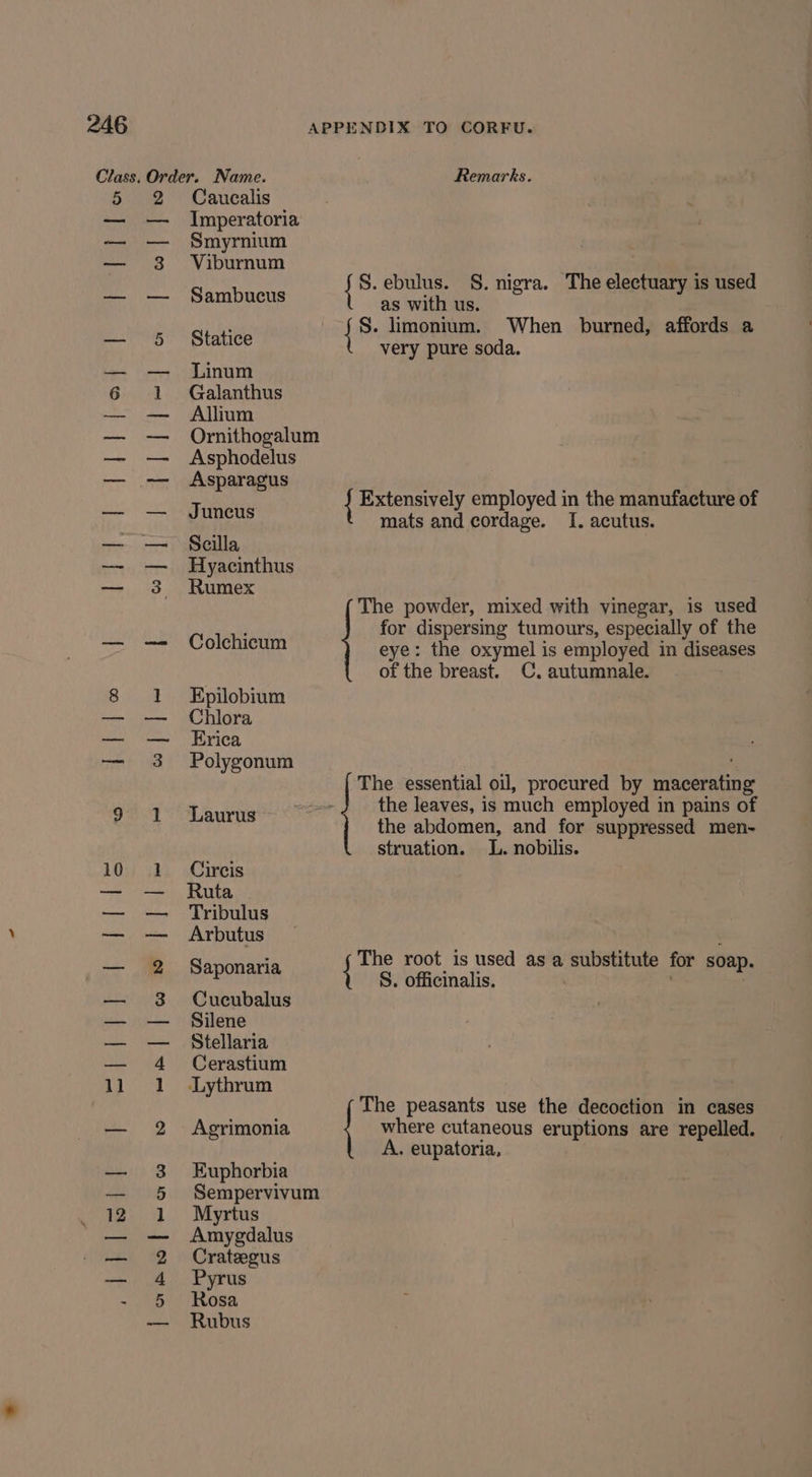 5 | i=) 2 3 eae i amr | mac APPENDIX TO CORFU. Remarks. Caucalis : Imperatoria Smyrnium erie S. ebul S. ni ‘The elect i d .ebulus. S. nigra. e electuary is use Sambucus { as with us. 2 ie Stati 8: limonium. When burned, affords a fepind very pure soda. Linum Galanthus Allium Ornithogalum Asphodelus Asparagus , 6 J | Extensively employed in the manufacture of np ae mats and cordage. I. acutus. Scilla Hyacinthus Rumex The powder, mixed with vinegar, is used for dispersing tumours, especially of the Colchicum eye: the oxymel is employed in diseases of the breast. C. autumnale. Epilobium Chlora Erica Polygonum The essential oil, procured by macerating the leaves, is much employed in pains of ayes the abdomen, and for sacle men- struation. L. nobilis. Circis Ruta Tribulus Arbutus : The root is used as a substitute for soap. RSpoURtiA ait A wiasy bmeinalin, | 2 Cucubalus Silene Stellaria Cerastium ‘-Lythrum The peasants use the decoction in cases Agrimonia where cutaneous eruptions are repelled. A. eupatoria, Euphorbia Sempervivum Myrtus Amygdalus Crateegus Pyrus Rosa Rubus