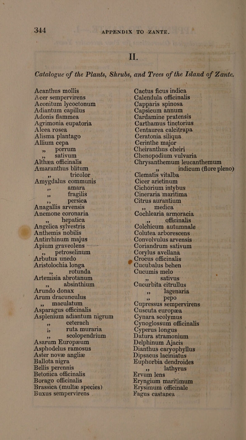 J44 I. Acanthus mollis Acer sempervirens Aconitum lycoctonum Adiantum capillus Adonis flammea _ Agrimonia eupatoria Alcea rosea Alisma plantago Allium cepa » porrum » sativum Althzea officinalis Amaranthus blitum ny tricolor Amygdalus communis rh amara 0 fragilis ms persica Anagallis arvensis Anemone coronaria 3 hepatica Angelica sylvestris Anthemis nobilis Antirrhinum majus Apium graveolens yy ~petroselinum Arbutus unedo Aristolochia longa th rotunda Artemisia abrotanum Arundo donax Arum dracunculus » maculatum Asparagus officinalis 2 ceterach ‘ ruta muraria ss scolopendrium Asarum Europzeum Asphodelus ramosus Aster nove anglize Ballota nigra Bellis perennis Betonica officinalis Borago officinalis Buxus sempervirens \ Cactus ficus indica Calendula officinalis Capparis spinosa Capsicum annum Cardamine pratensis Carthamus tinctorius Centaurea calcitrapa Ceratonia siliqua Cerinthe major Cheiranthus cheiri Chenopodium vulvaria Chrysanthemum leucanthemum eg indicum (flore pleno) Clematis vitalba Cicer arietinum Cichorium intybus Cineraria maritima Citrus aurantium &gt;» medica Cochlearia armoracia 0 officinalis Colchicum autumnale Colutea arborescens Convolvulus arvensis Coriandrum sativum Corylus avellana e Crocus officinalis Cucubalus behen . Cucumis melo yt sativus Cucurbita citrullus a lagenaria » pepo Cupressus sempervirens Cuscuta europea Cynara scolymus Cynoglossum officinalis Cyperus longus Datura stramonium Delphinum. Ajacis Dianthus caryopbyllus Dipsacus laciniatus Euphorbia dendroides 9 lathyrus Ervum lens | Eryngium maritimum Erysimum officinale Fagus castanea