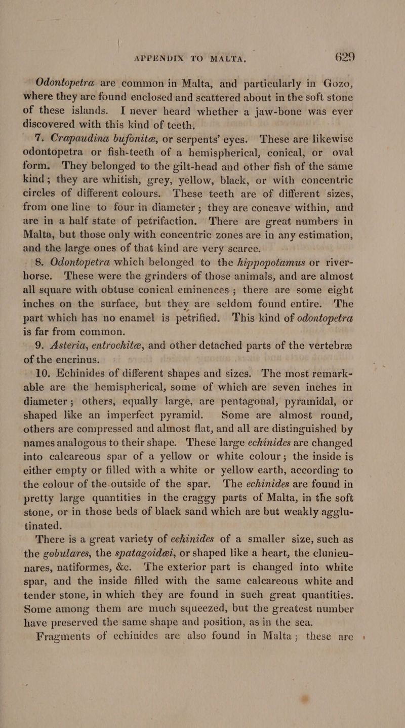 Odontopetra are common in Malta, and particularly in Gozo, where they are found enclosed and scattered about in the soft stone of these islands. I never heard whether a jaw-bone was ever discovered with this kind of teeth. 7. Crapaudina bufonite, or serpents’ eyes. These are likewise odontopetra or fish-teeth of a hemispherical, conical, or oval form. They belonged to the gilt-head and other fish of the same kind; they are whitish, grey, yellow, black, or with concentric circles of different colours. These teeth are of different sizes, from one line to four in diameter; they are concave within, and are in a half state of petrifaction. There are great numbers in Malta, but those only with concentric zones are in any estimation, and the large ones of that kind are very scarce. 8. Odontopetra which belonged to the hippopotamus or river- horse. ‘These were the grinders of those animals, and are almost all square with obtuse conical eminences ; there are some eight inches on the surface, but they are seldom found entire. 'The part which has no enamel is petrified. This kind of odontopetra is far from common. 9. Asteria, entrochite, and other detached parts of the vertebrz of the encrinus. 10. Echinides of different shapes and sizes. The most remark- able are the hemispherical, some of which are seven inches in diameter; others, equally large, are pentagonal, pyramidal, or shaped like an imperfect pyramid. Some are almost round, others are compressed and almost flat, and all are distinguished by names analogous to their shape. These large echinides are changed into calcareous spar of a yellow or white colour; the inside is either empty or filled with a white or yellow earth, according to the colour of the.outside of the spar. The echinides are found in pretty large quantities in the craggy parts of Malta, in the soft stone, or in those beds of black sand which are but weakly agglu- tinated. There is a great variety of echinides of a smaller size, such as the gobulares, the spatagoida@i, or shaped like a heart, the clunicu- nares, natiformes, &amp;c. ‘The exterior part is changed into white spar, and the inside filled with the same calcareous white and tender stone, in which they are found in such great quantities. Some among them are much squeezed, but the greatest number have preserved the same shape and position, as in the sea. Fragments of echinides are also found in Malta; these are .