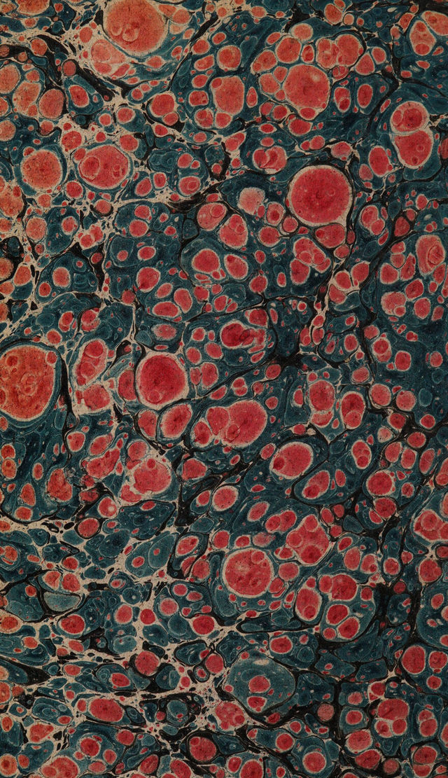 digitised image 2