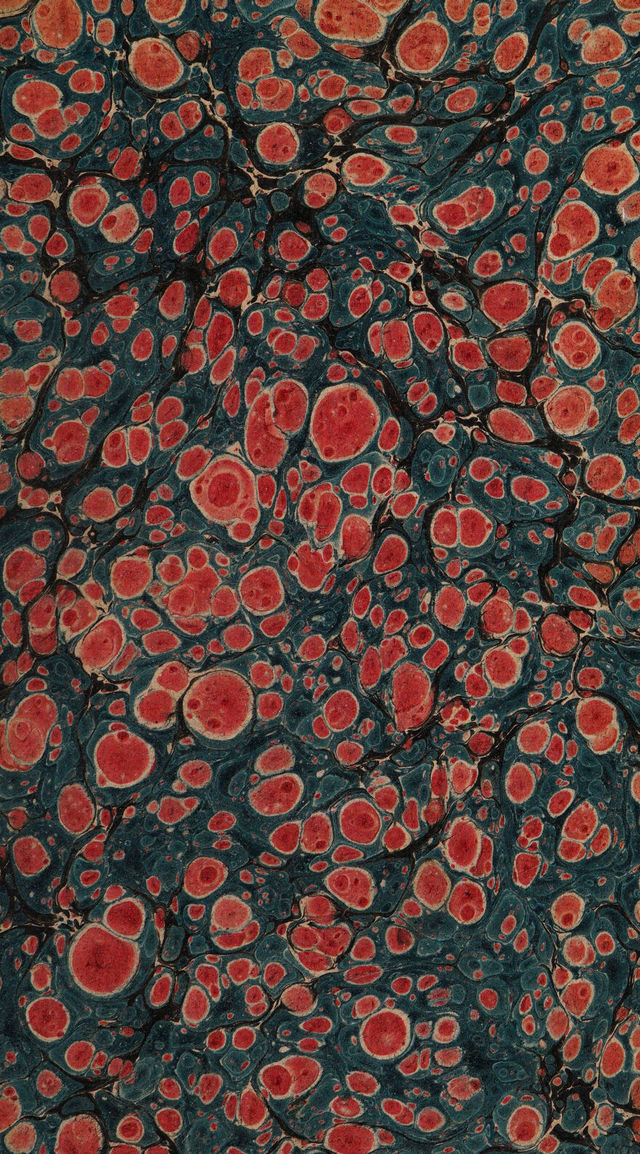digitised image 3