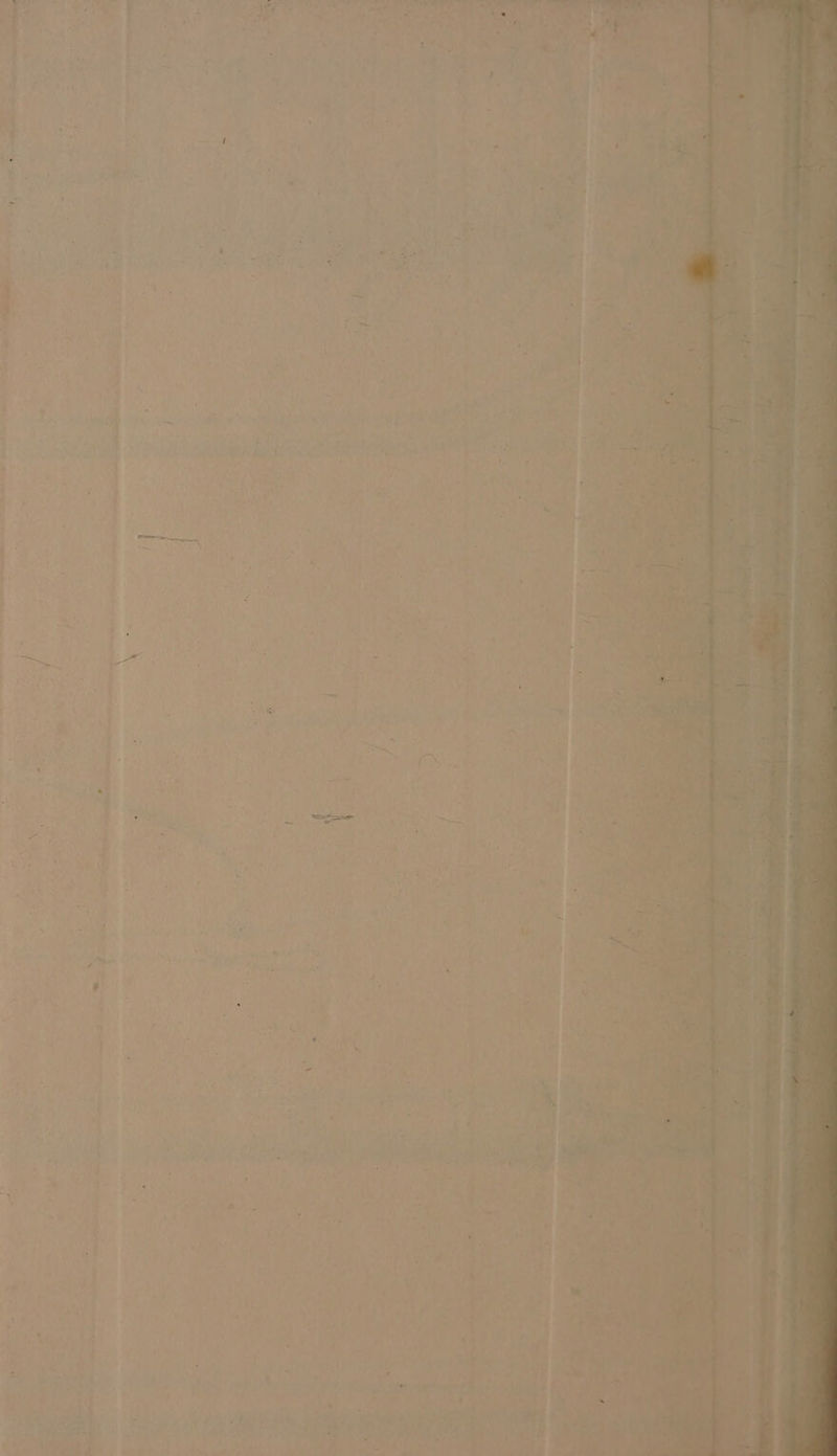 Sr i
