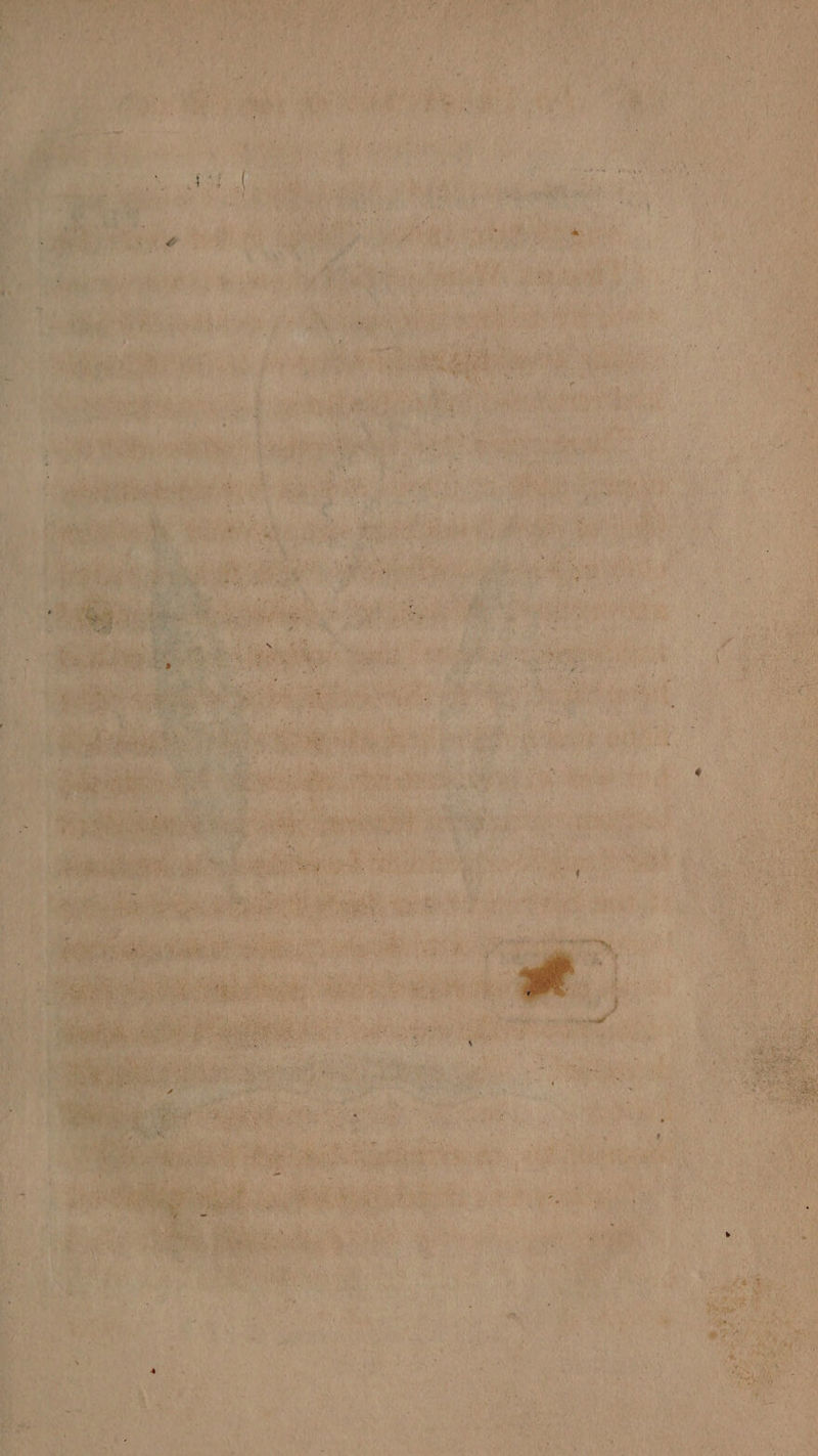 . rl Ae ey > Ay, yd Or