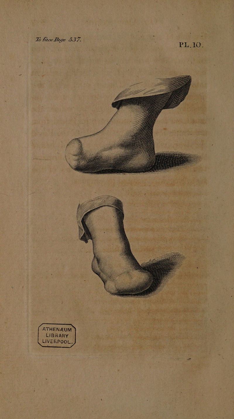 ATHENAUM LIBRARY LIVERPOOL,