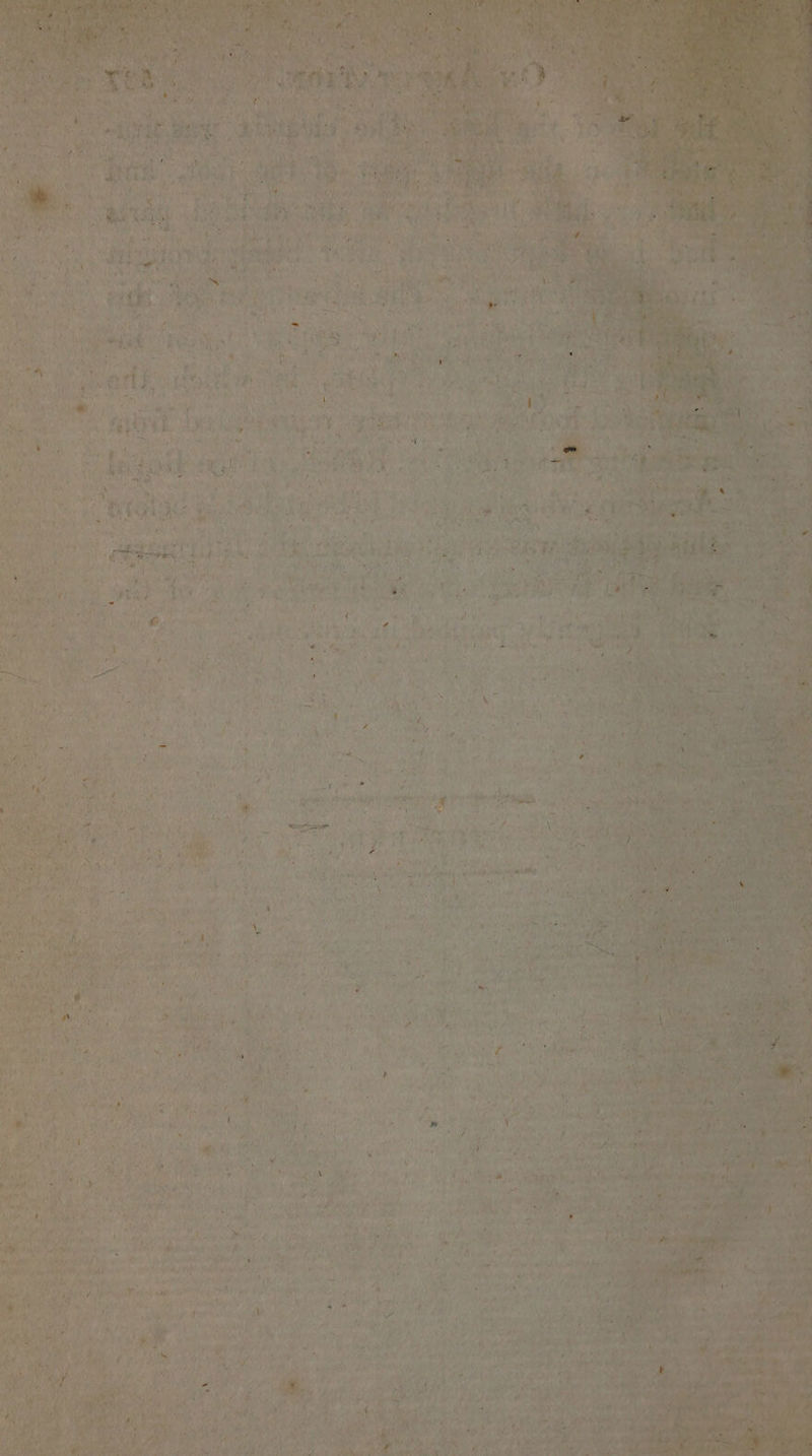 ae ‘ ate Ooo) ay OO ce aah Sate eee ae