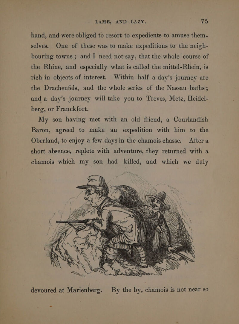 hand, and were obliged to resort to expedients to amuse them- selves. One of these was to make expeditions to the neigh- bouring towns; and I need not say, that the whole course of the Rhine, and especially what is called the mittel-Rhein, is rich in objects of interest. Within half a day’s journey are the Drachenfels, and the whole series of the Nassau. baths; and a day’s journey will take you to Treves, Metz, Heidel- berg, or Franckfort. My son having met with an old friend, a Courlandish Baron, agreed to make an expedition with him to the Oberland, to enjoy a few days in the chamois chasse. Aftera short absence, replete with adventure, they returned with a chamois which my son had killed, and which we duly devoured at Marienberg. By the by, chamois is not near so