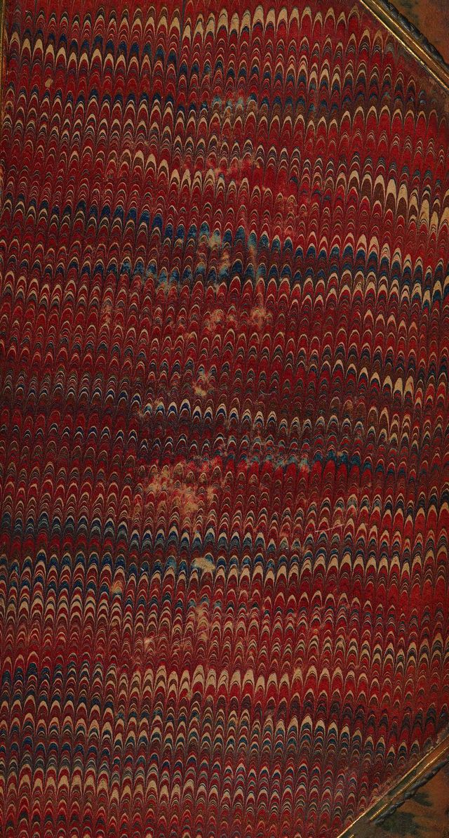 No text description is available for this image