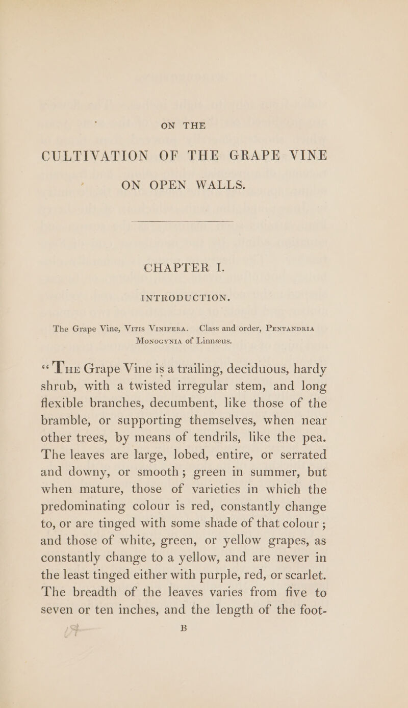 ON THE CULTIVATION OF THE GRAPE VINE ON OPEN WALLS. CHAPIEN FI. INTRODUCTION. The Grape Vine, Vitis Vinitrera. Class and order, Pentanpria Mownoeynia of Linneus. ‘Tur Grape Vine is a trailing, deciduous, hardy shrub, with a twisted irregular stem, and long flexible branches, decumbent, like those of the bramble, or supporting themselves, when near other trees, by means of tendrils, like the pea. The leaves are large, lobed, entire, or serrated and downy, or smooth; green in summer, but when mature, those of varieties in which the predominating colour is red, constantly change to, or are tinged with some shade of that colour ; and those of white, green, or yellow grapes, as constantly change to a yellow, and are never in the least tinged either with purple, red, or scarlet. The breadth of the leaves varies from five to seven or ten inches, and the length of the foot- B
